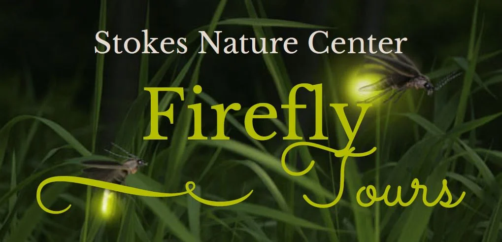 SNC Firefly Tours 2018