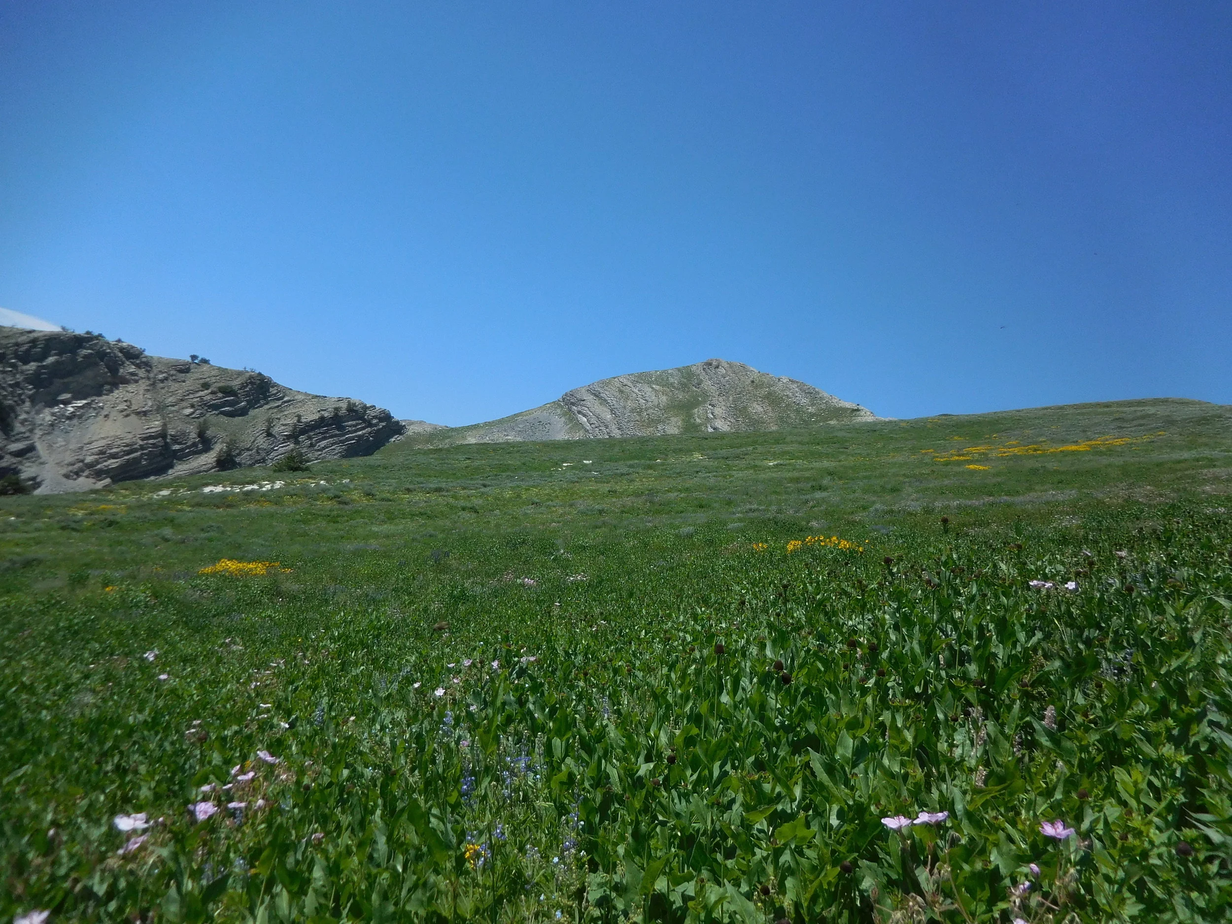 DSCN5143.JPG