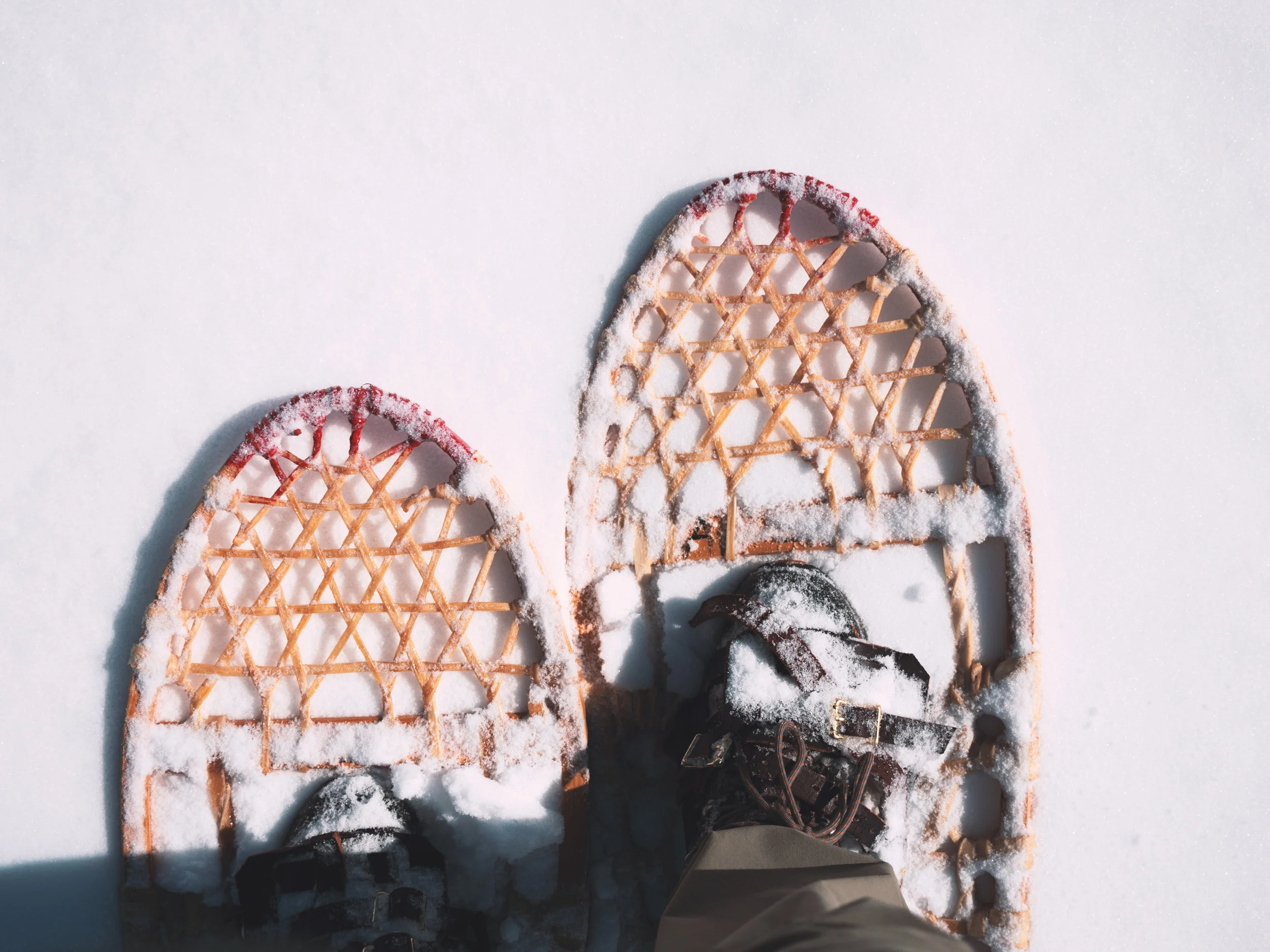 Canyon Conversations: History of Snowshoeing