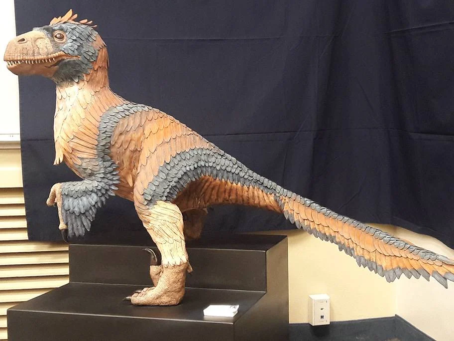 Canyon Conversations: Dino Country, Utah as a Prehistoric Treasure