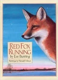 Nature Tales:  Red Fox Running