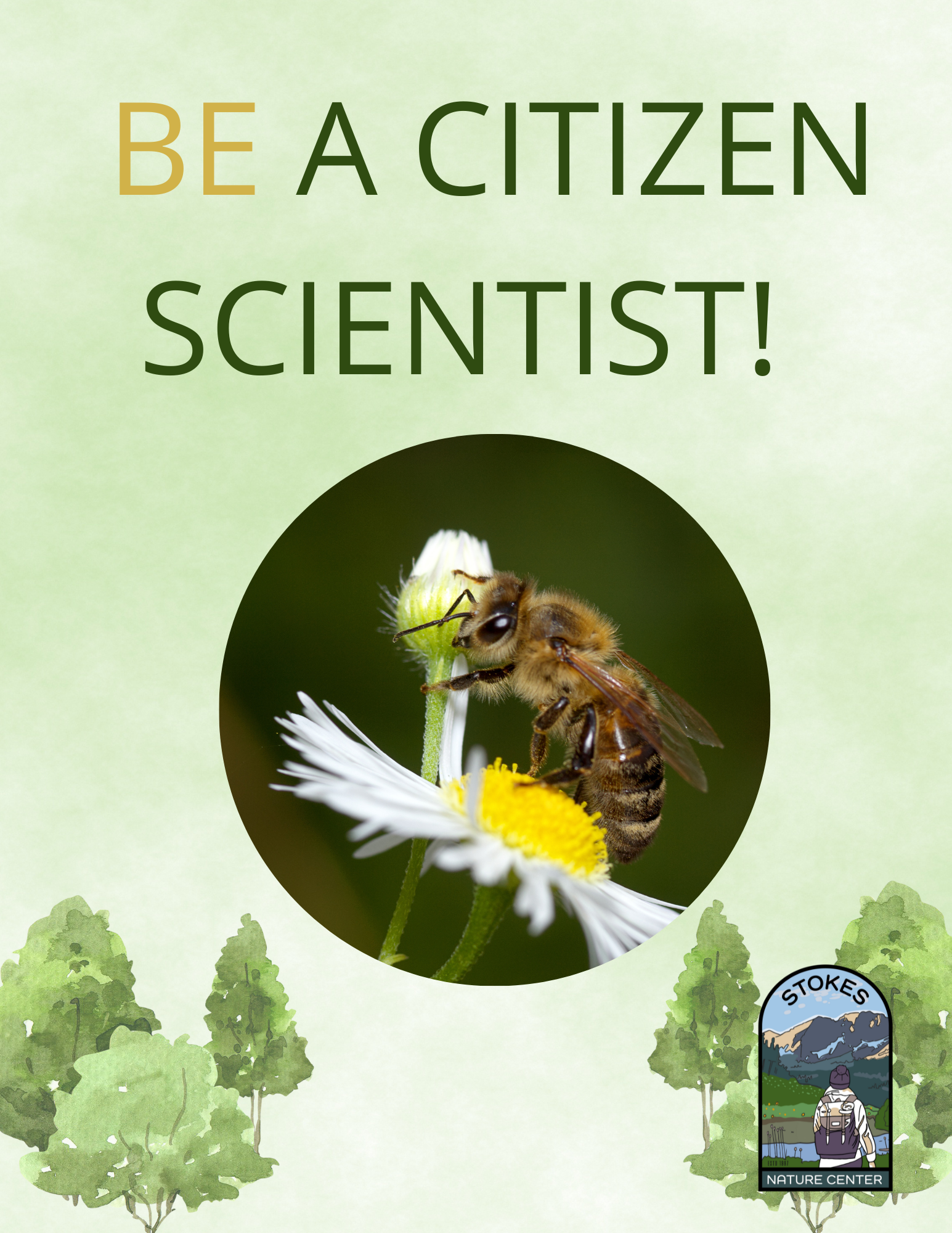 Pollinator Surveys