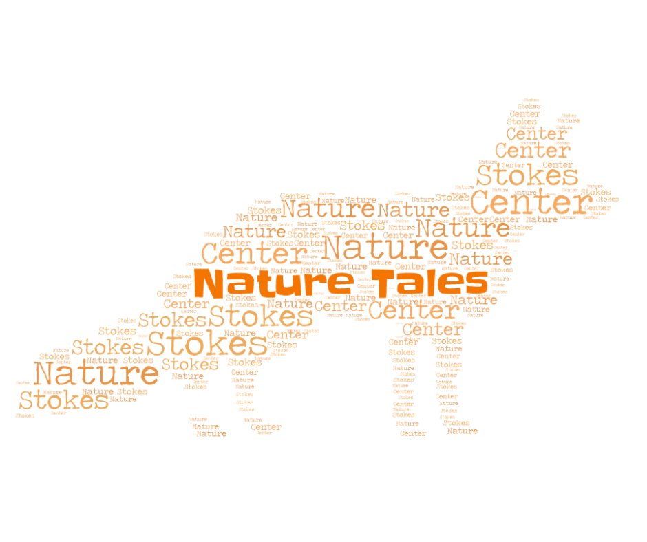 Nature Tales