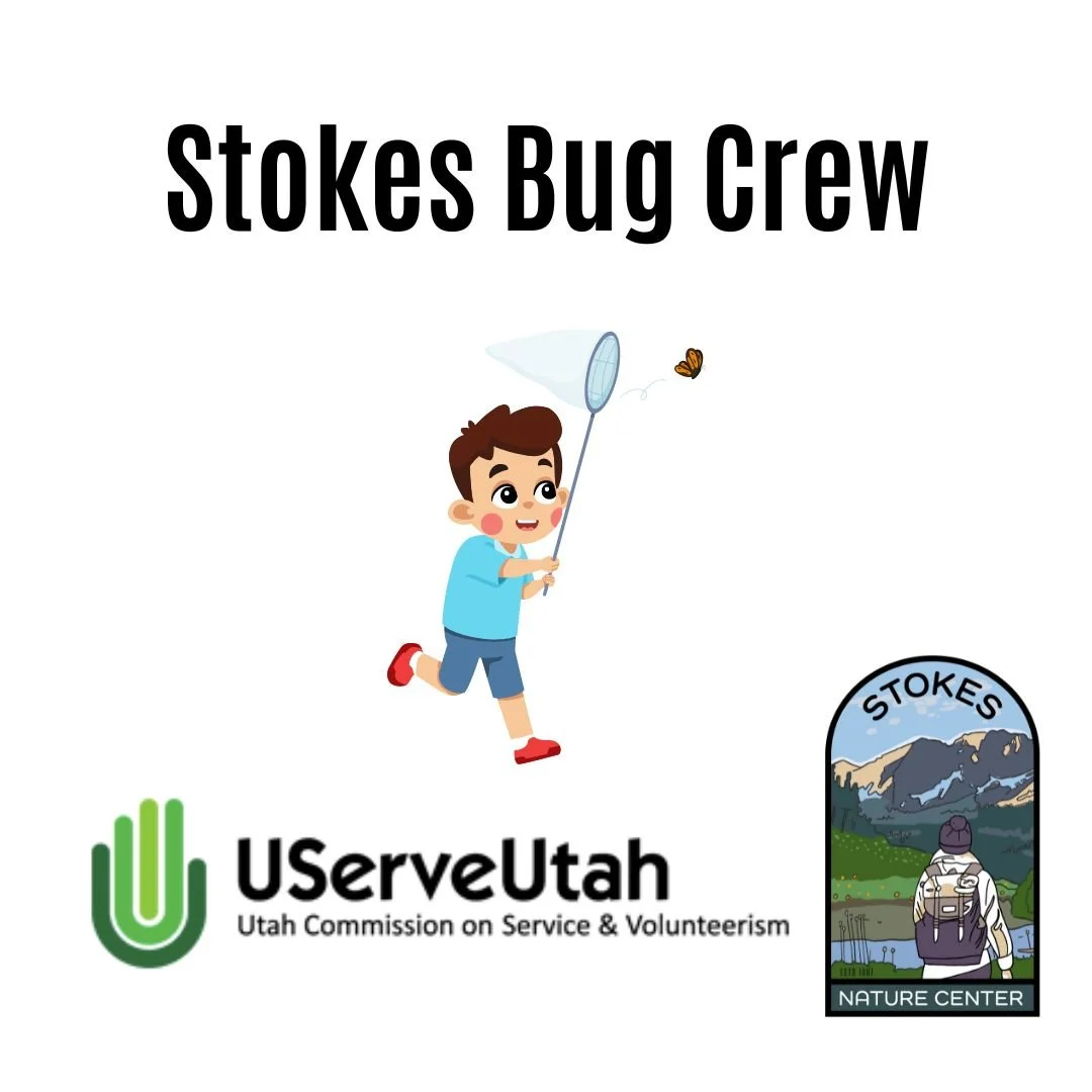 Stokes Bug Crew Meeting