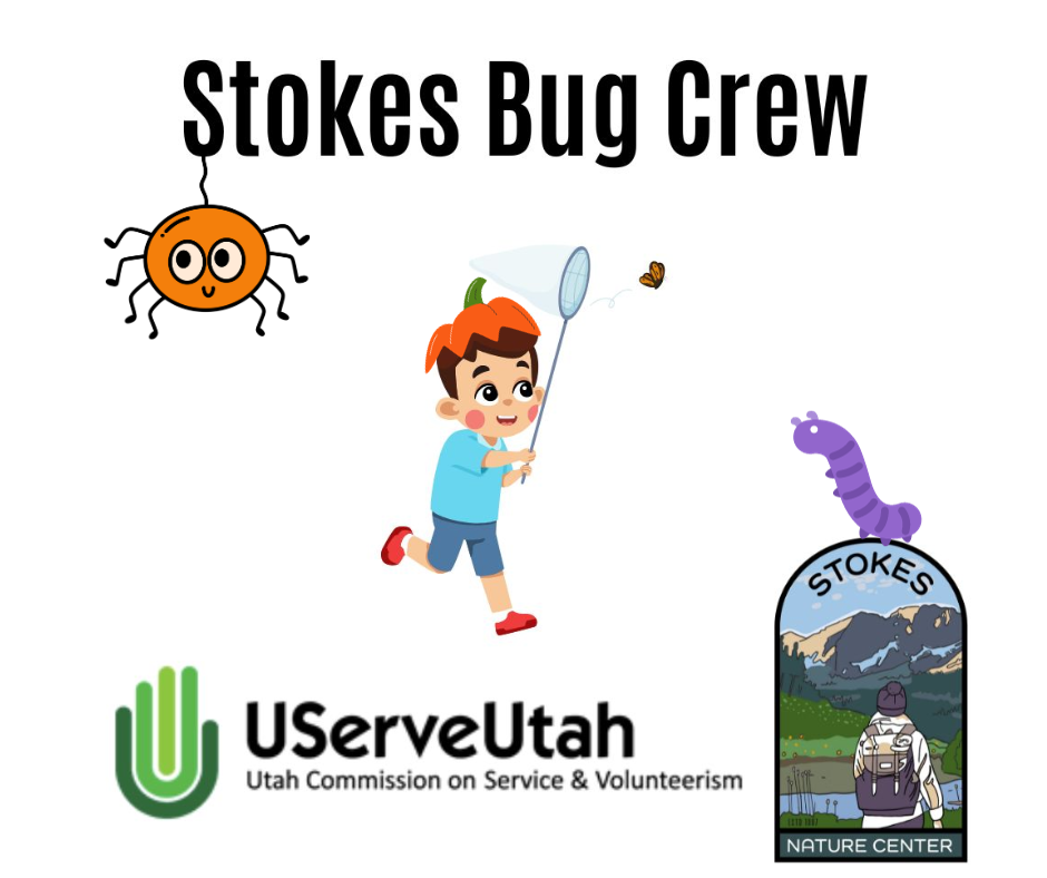 Stokes Bug Crew