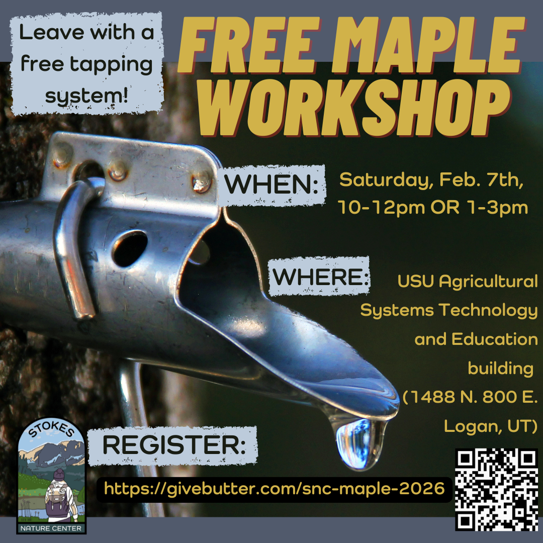 Maple Tapping Program