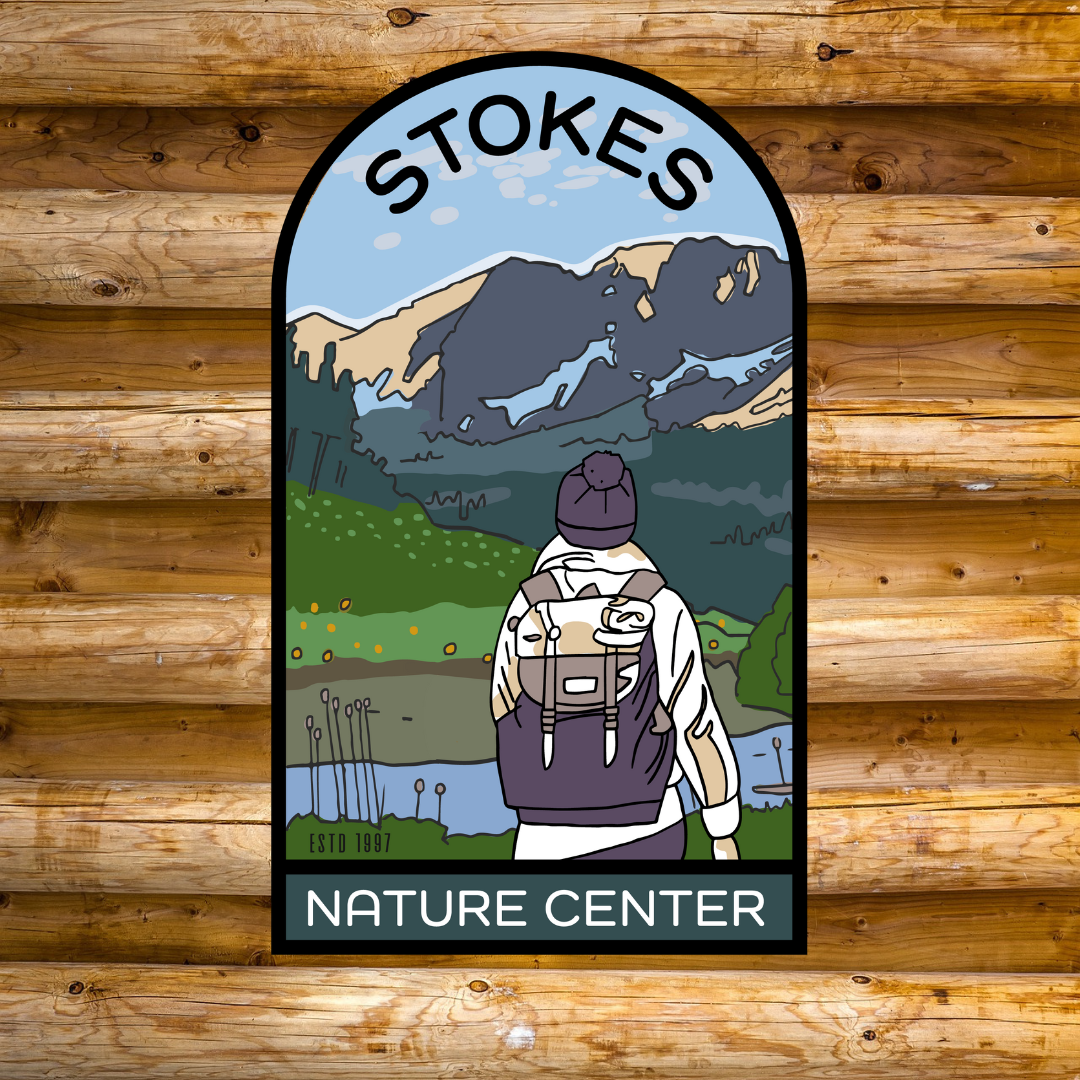 Nature Walk and Natural World Book Club - Waterways