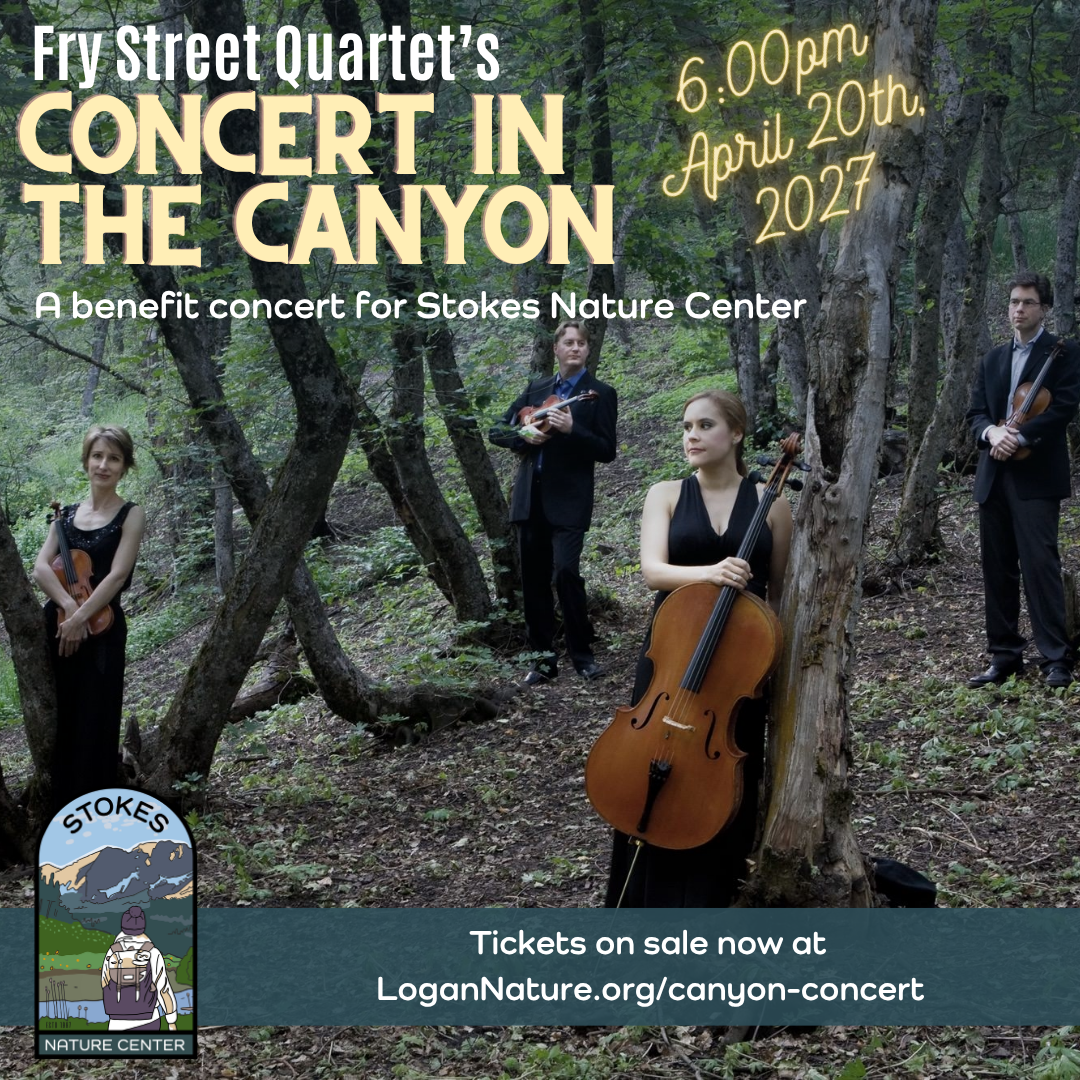 Concert in the Canyon 
