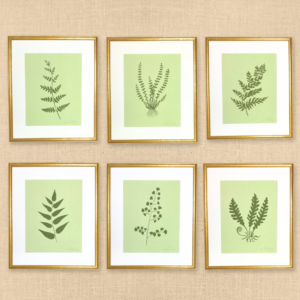 Transparent Botanicals Files (1).png