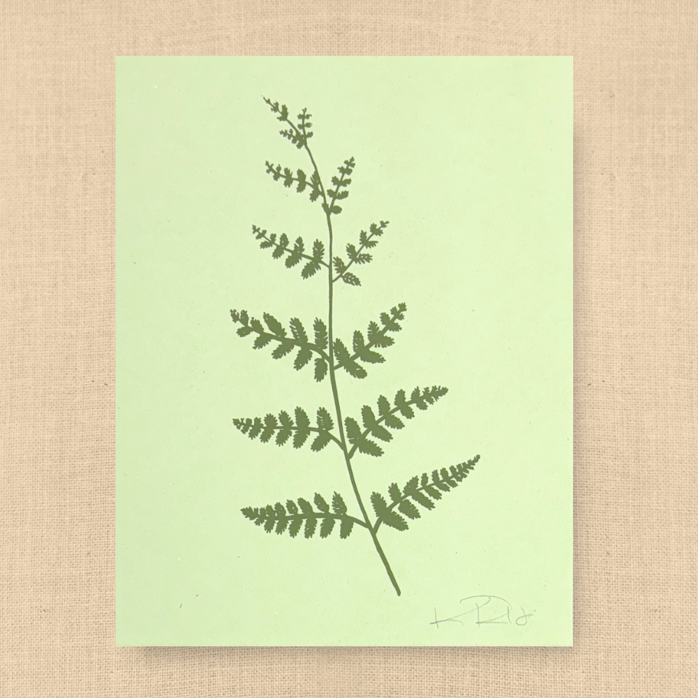 Fern No. 1