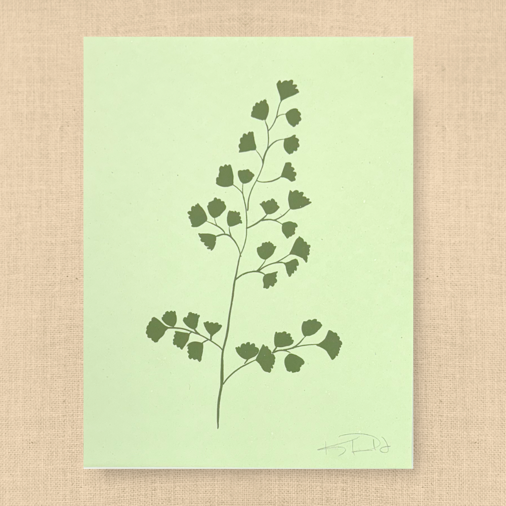 Fern No. 5
