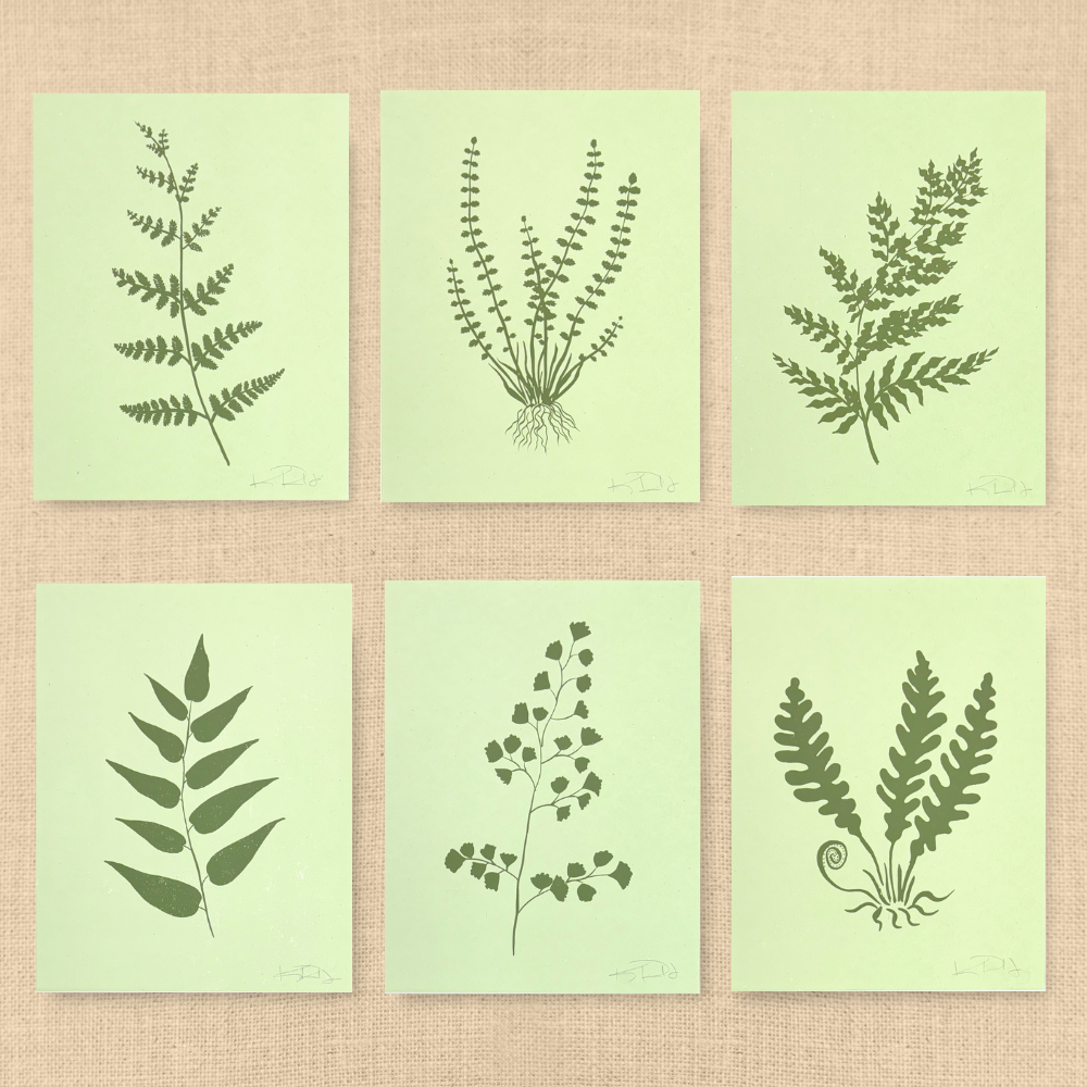 ferns set of 6 (1).png