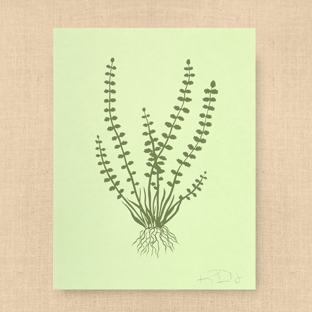Fern No. 2