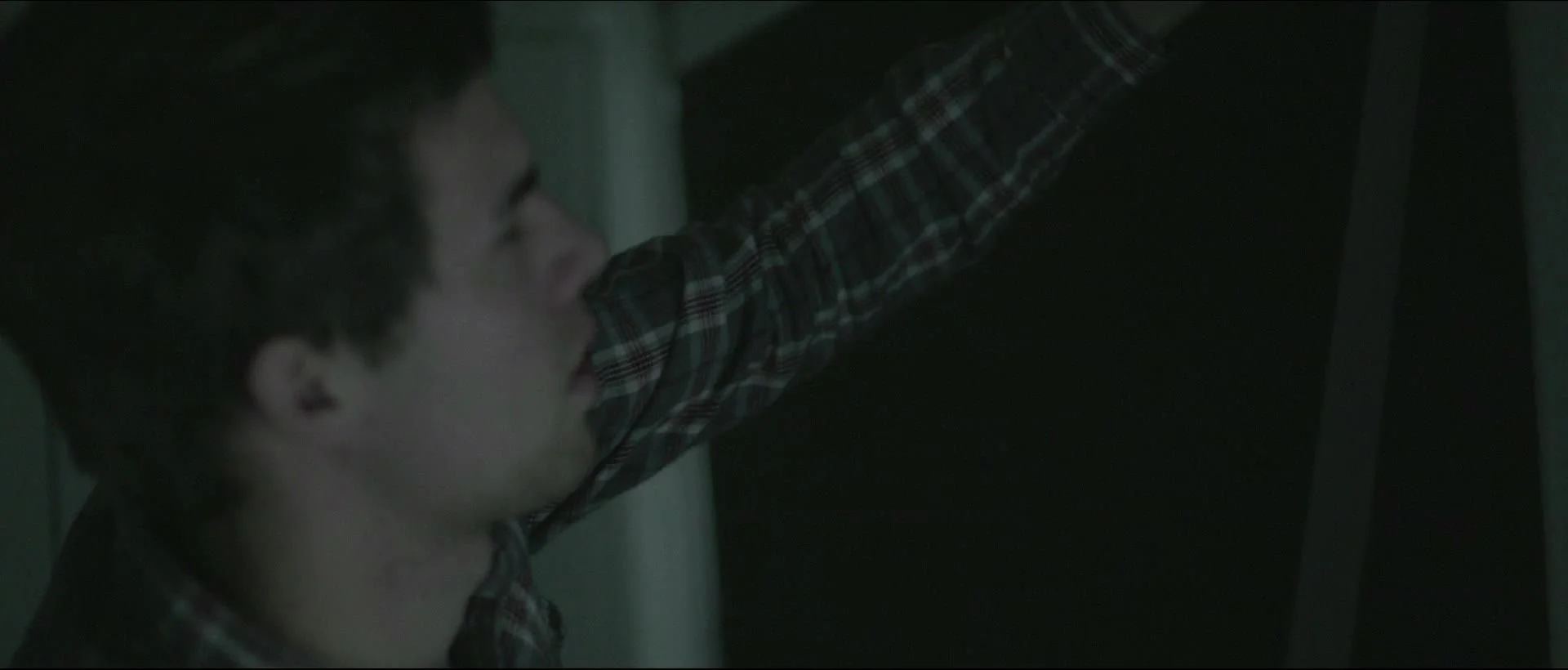 redbull 'canimation ad takeover'