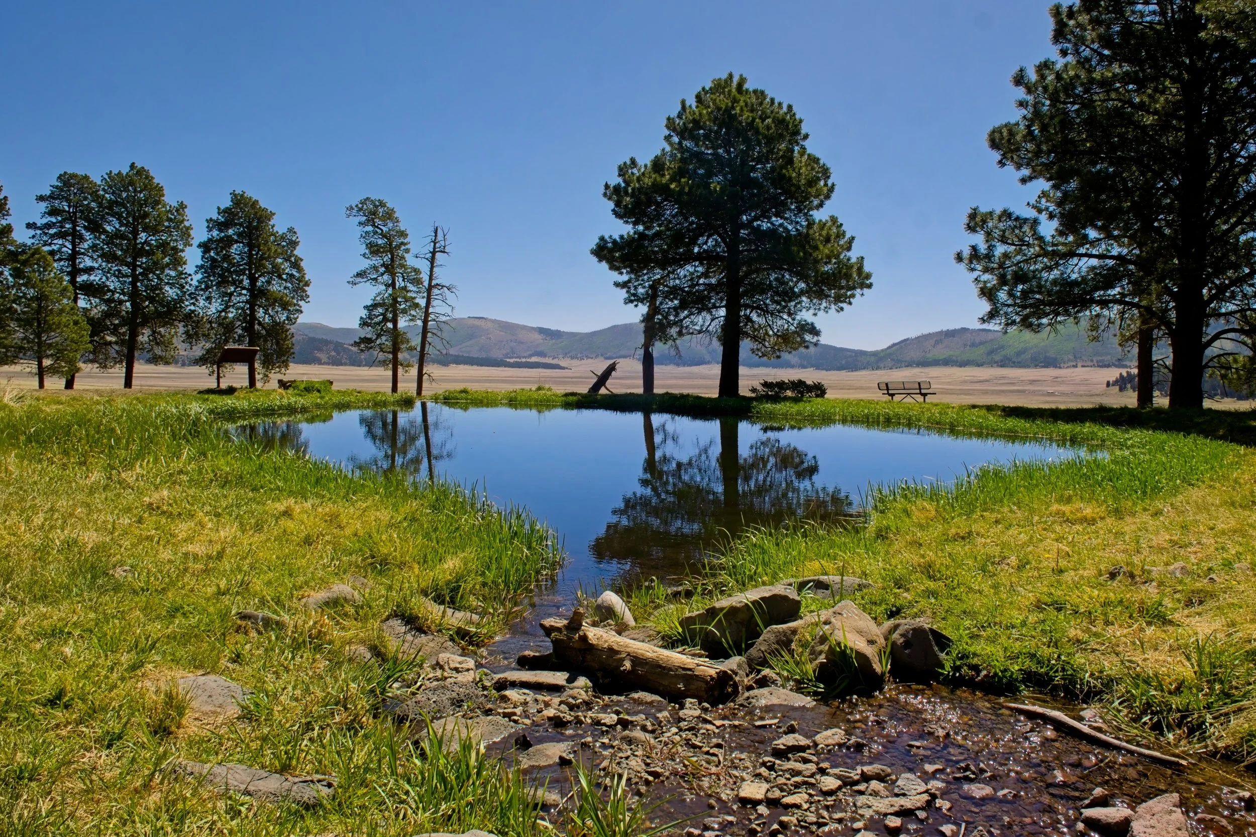Ranch pond.jpg