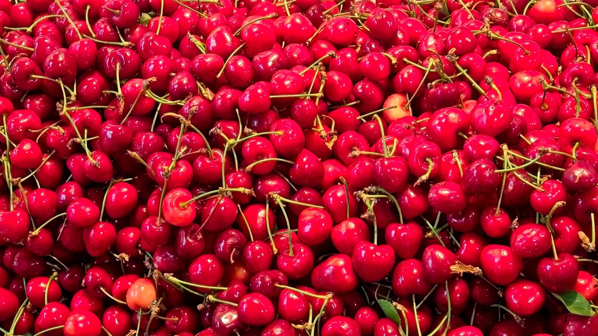 cherries.jpg