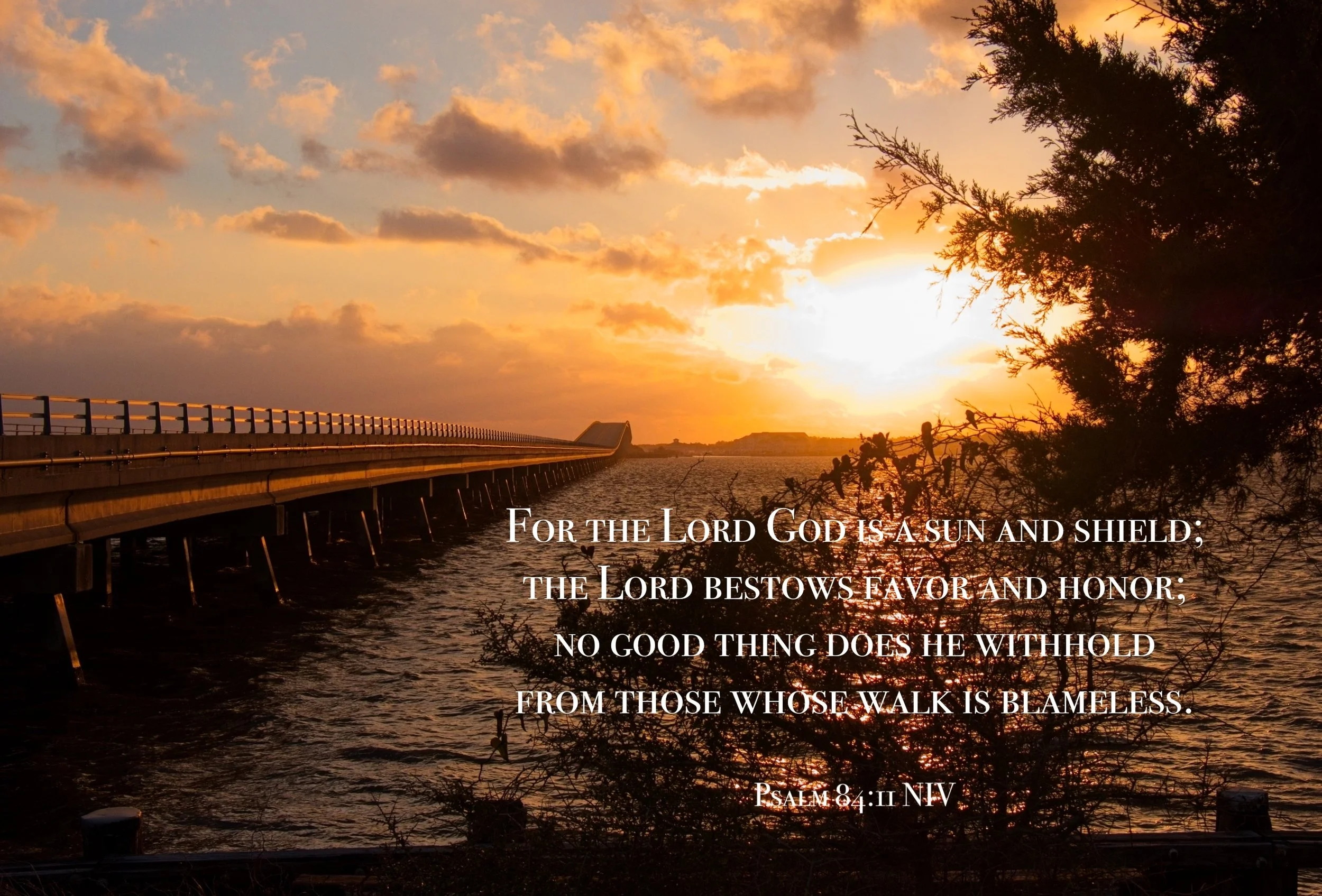 Alligator alley sunset.jpg