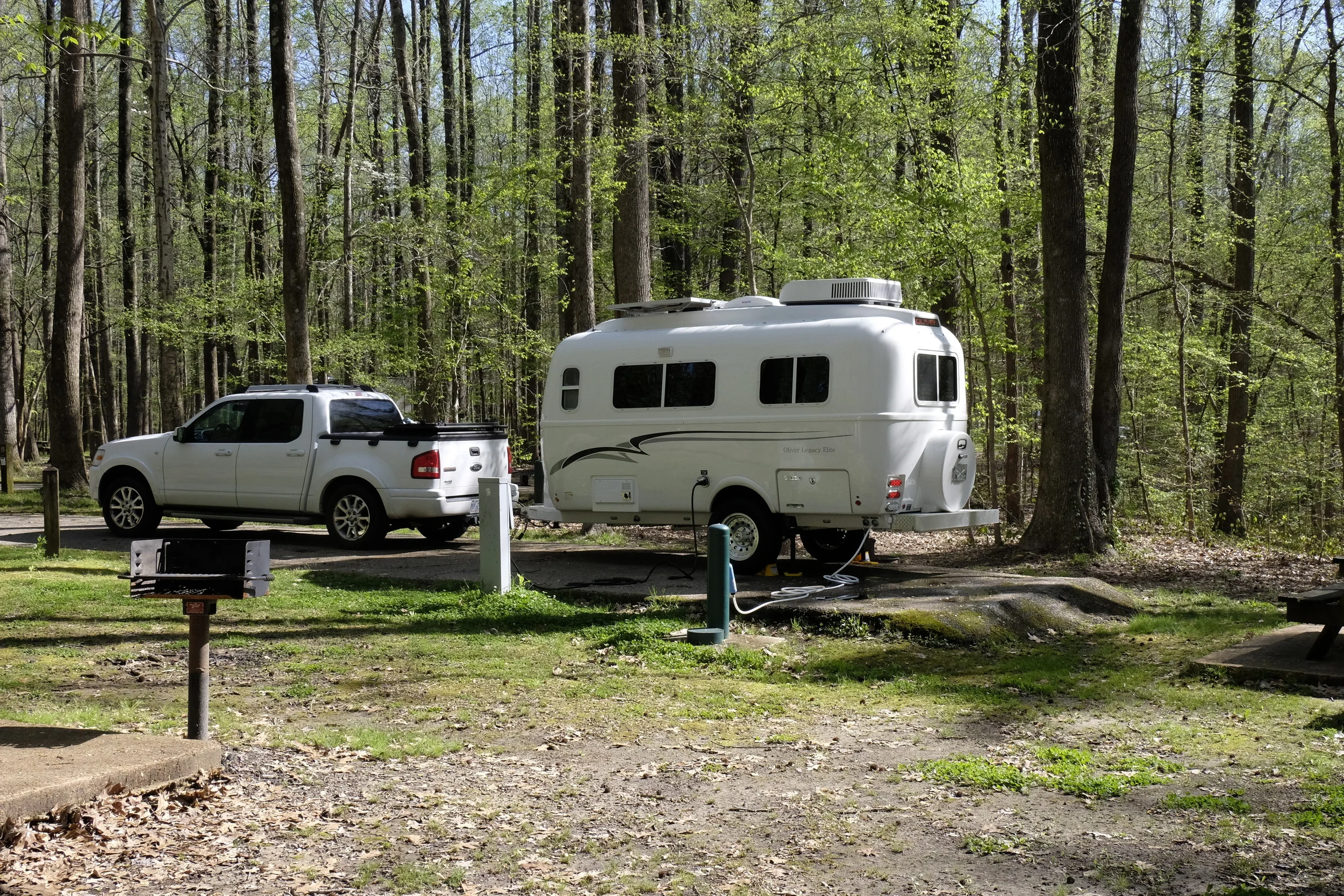 At a Tennessee State park near Memphis, TN. I missed most of the trees. 