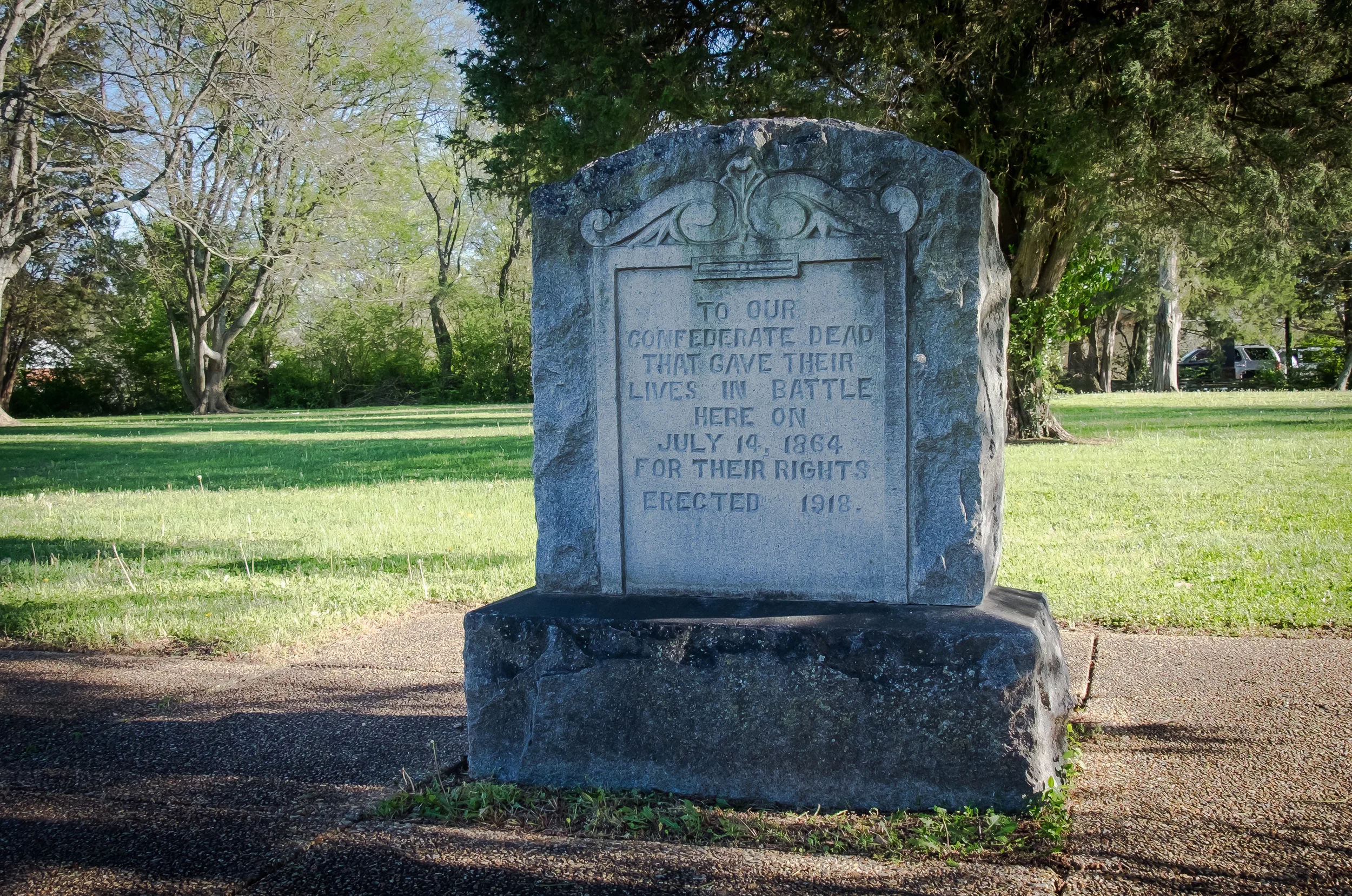 _DSF7497.jpg