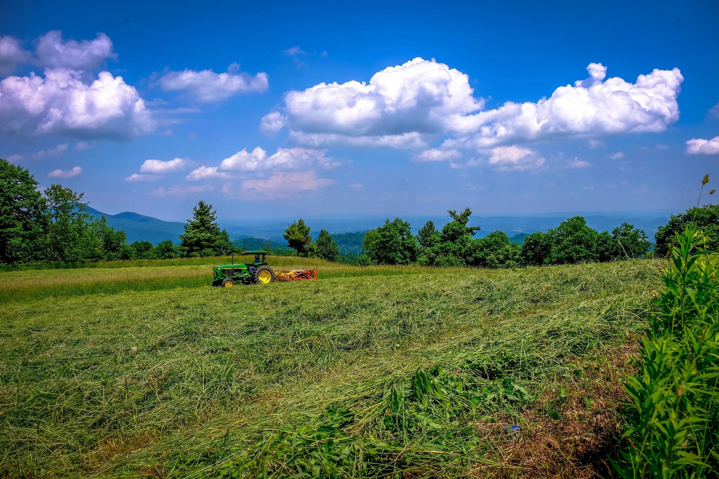 Farming for generations 