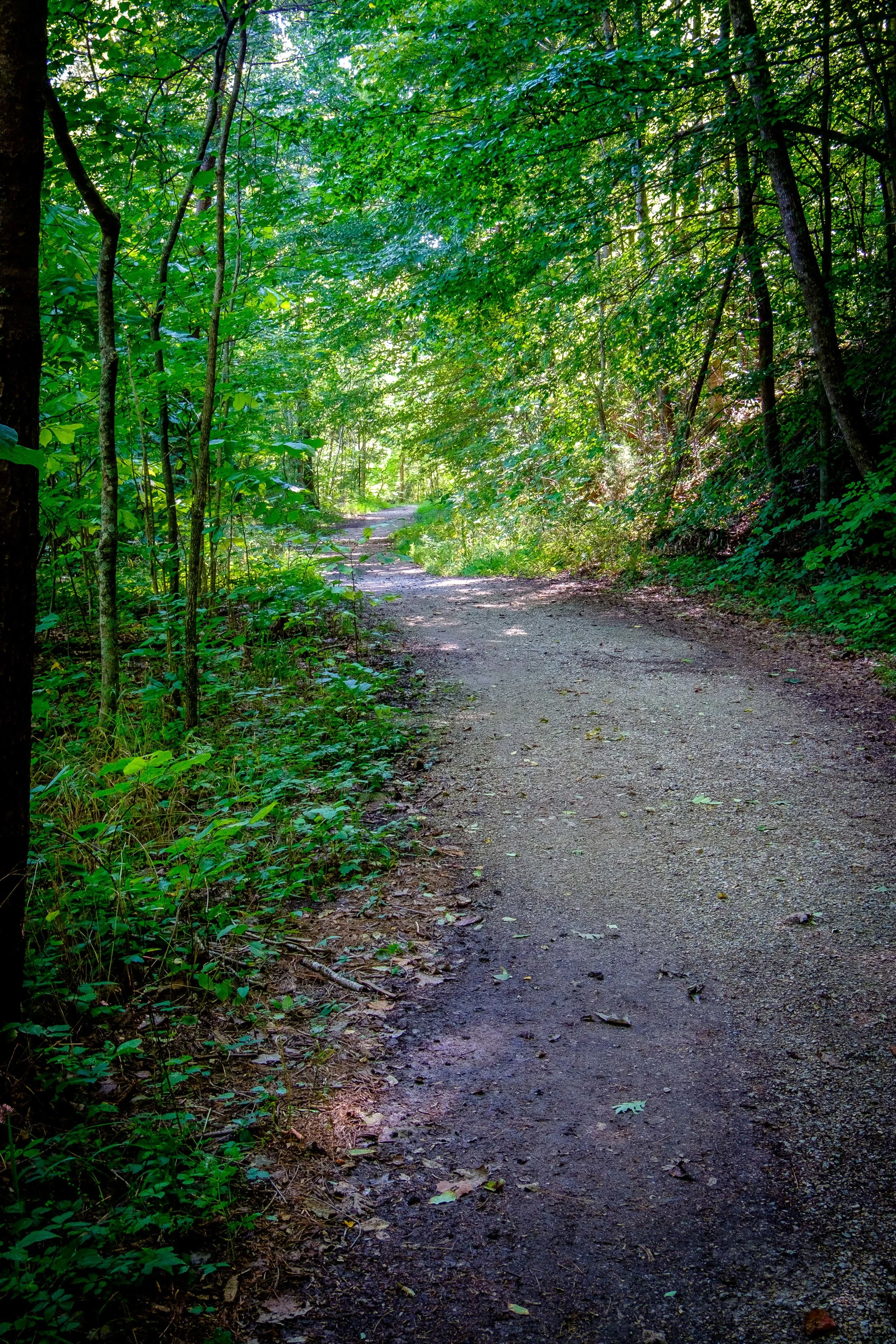  The Cumberland Gap trail. 