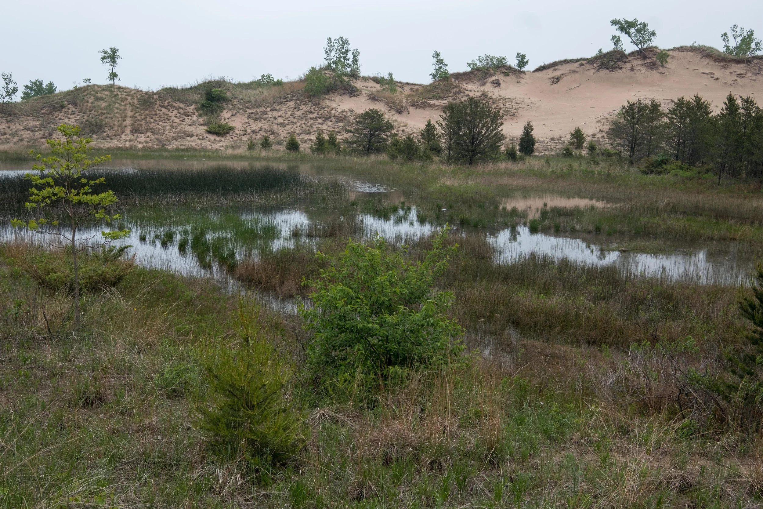 _DSF6847.jpg