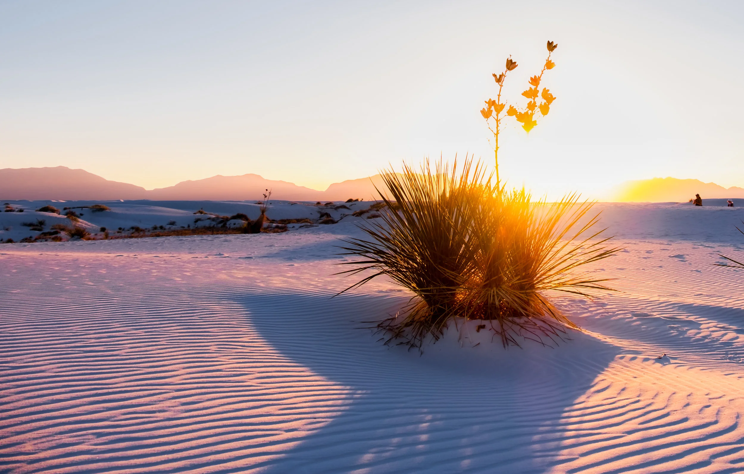 White Sands National Monument in New Mexico