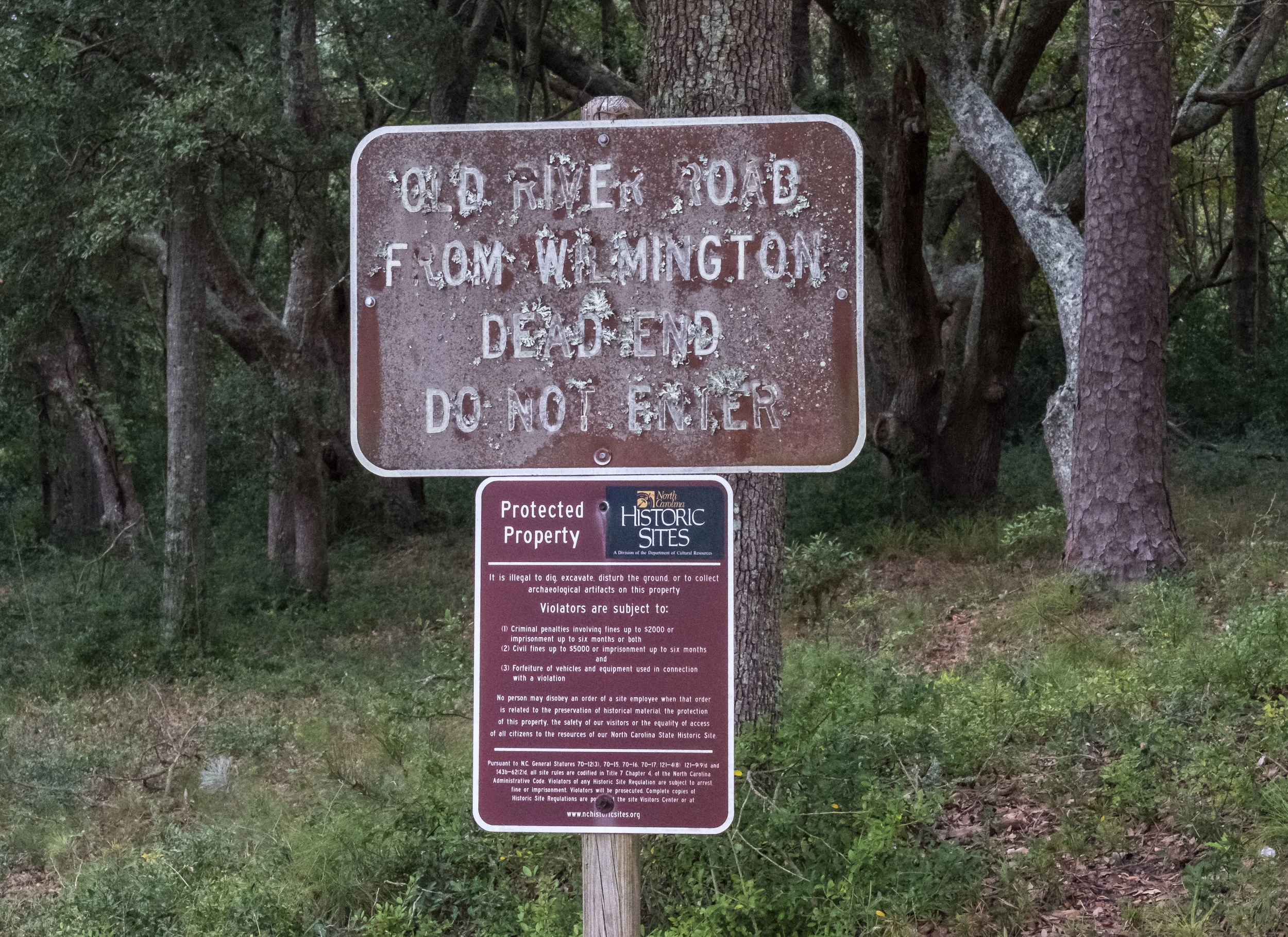 _DSF8866.jpg
