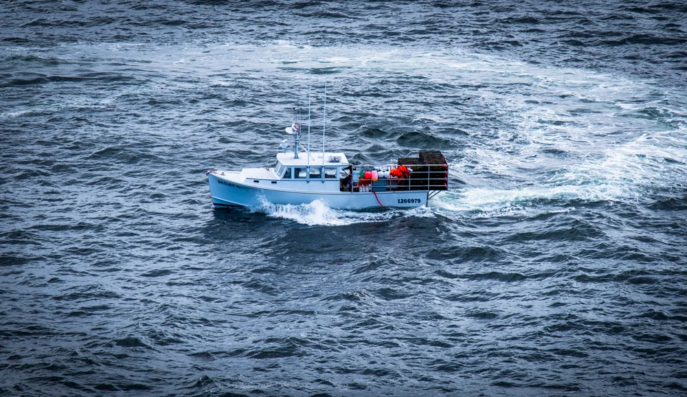 _DSF5662.jpg