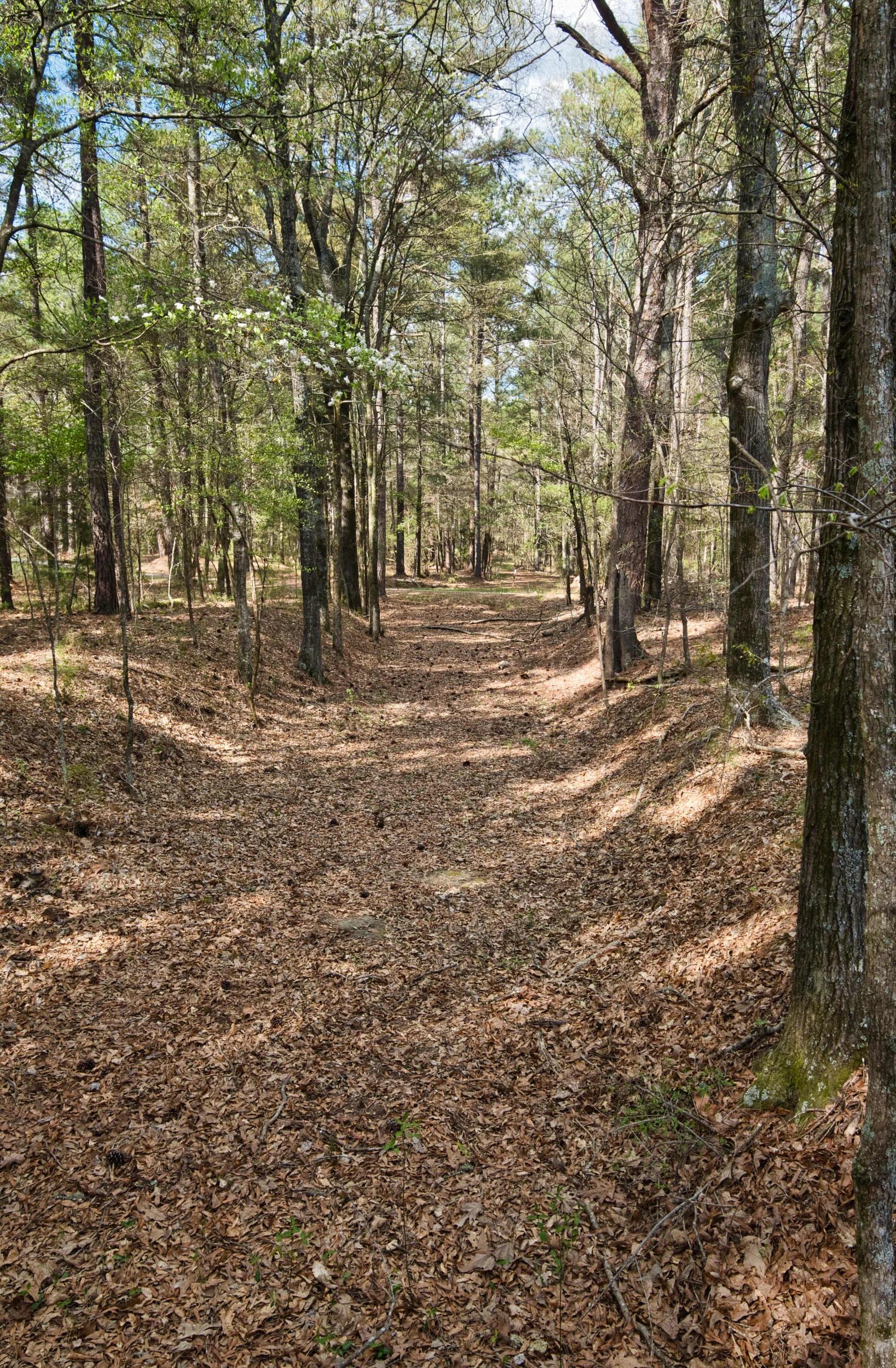  Road the Patriots Traveled On. 