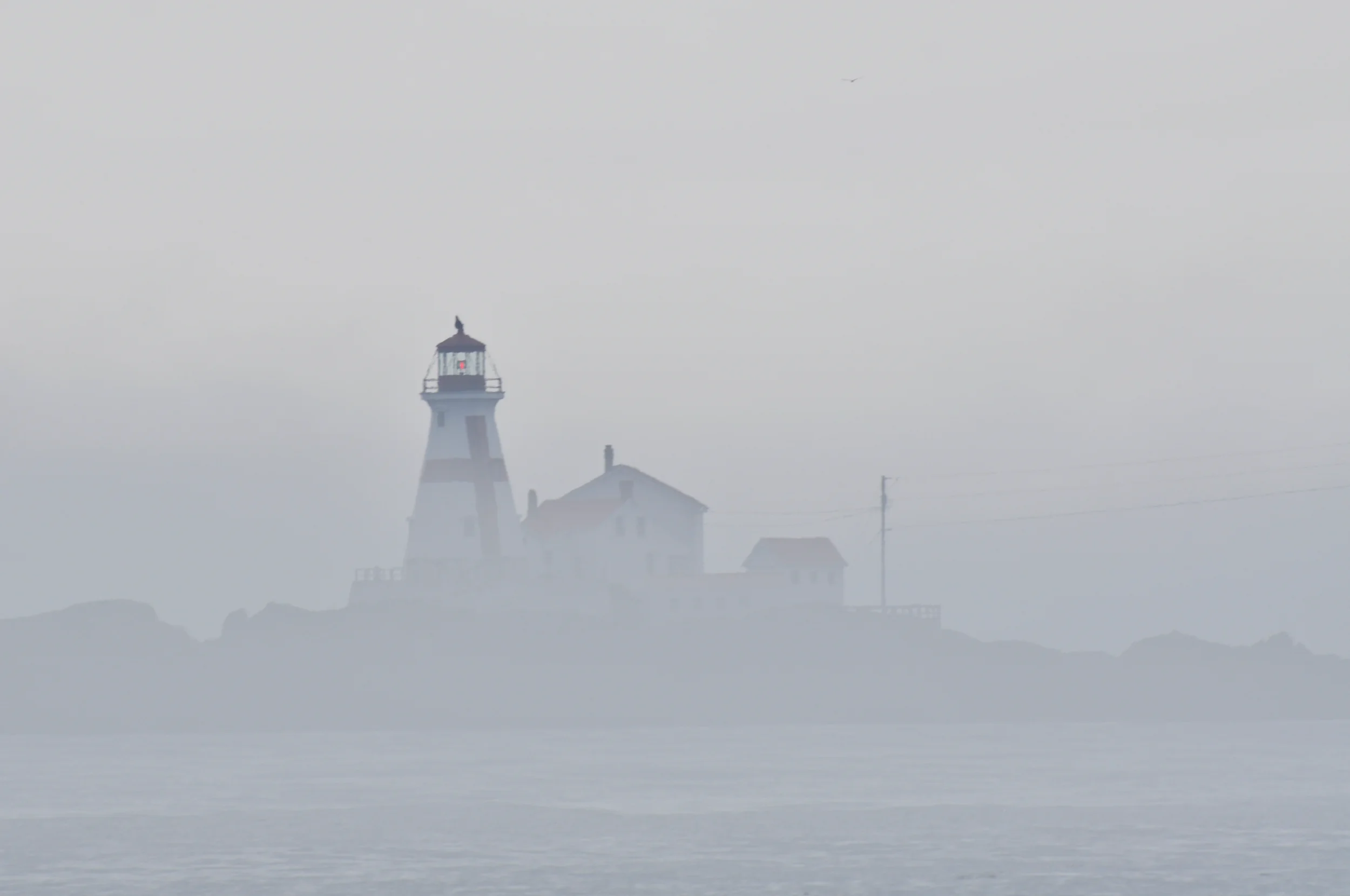_DSC6155.jpeg