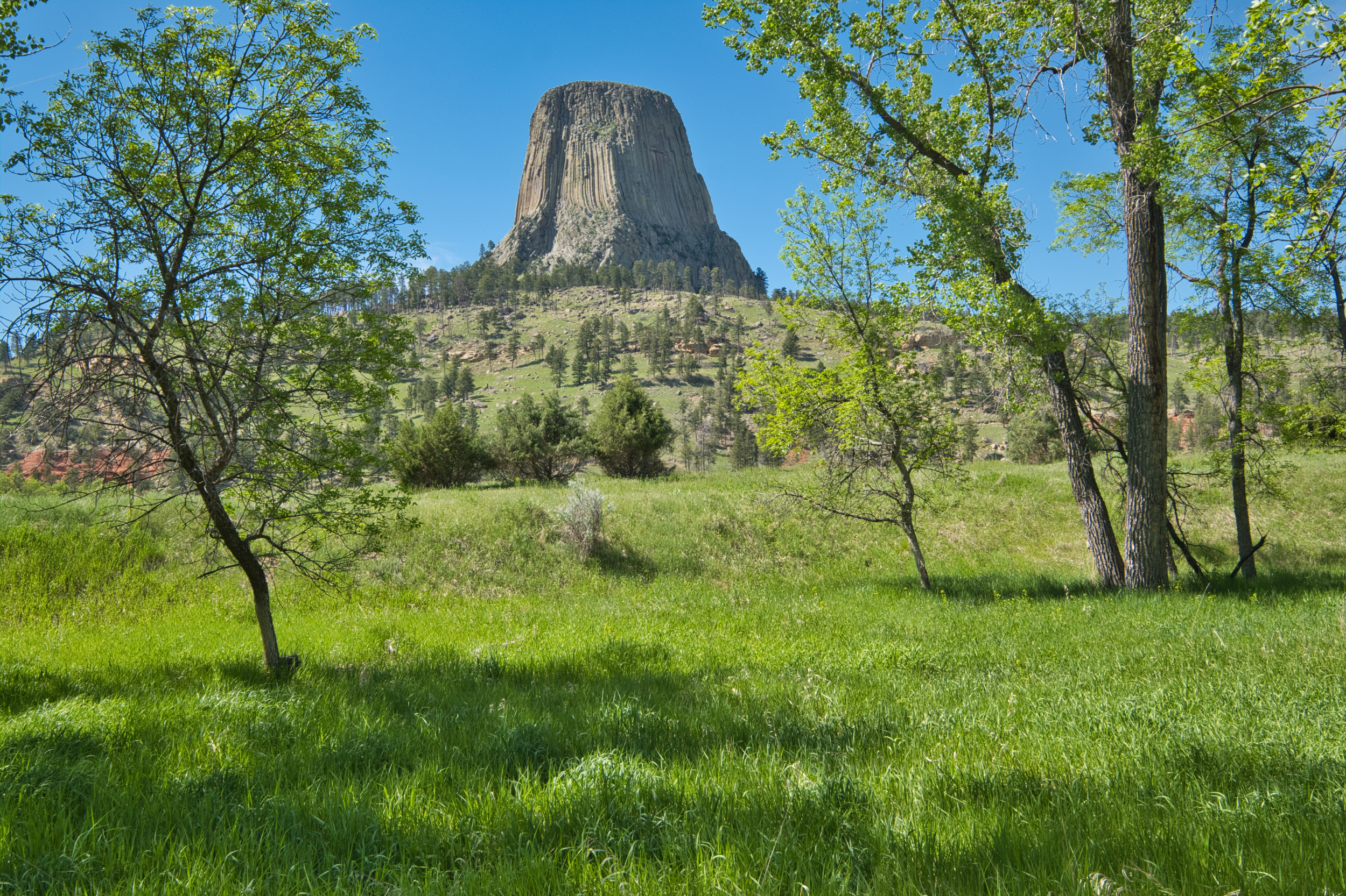 view of the Tower from campsite in late afternoon