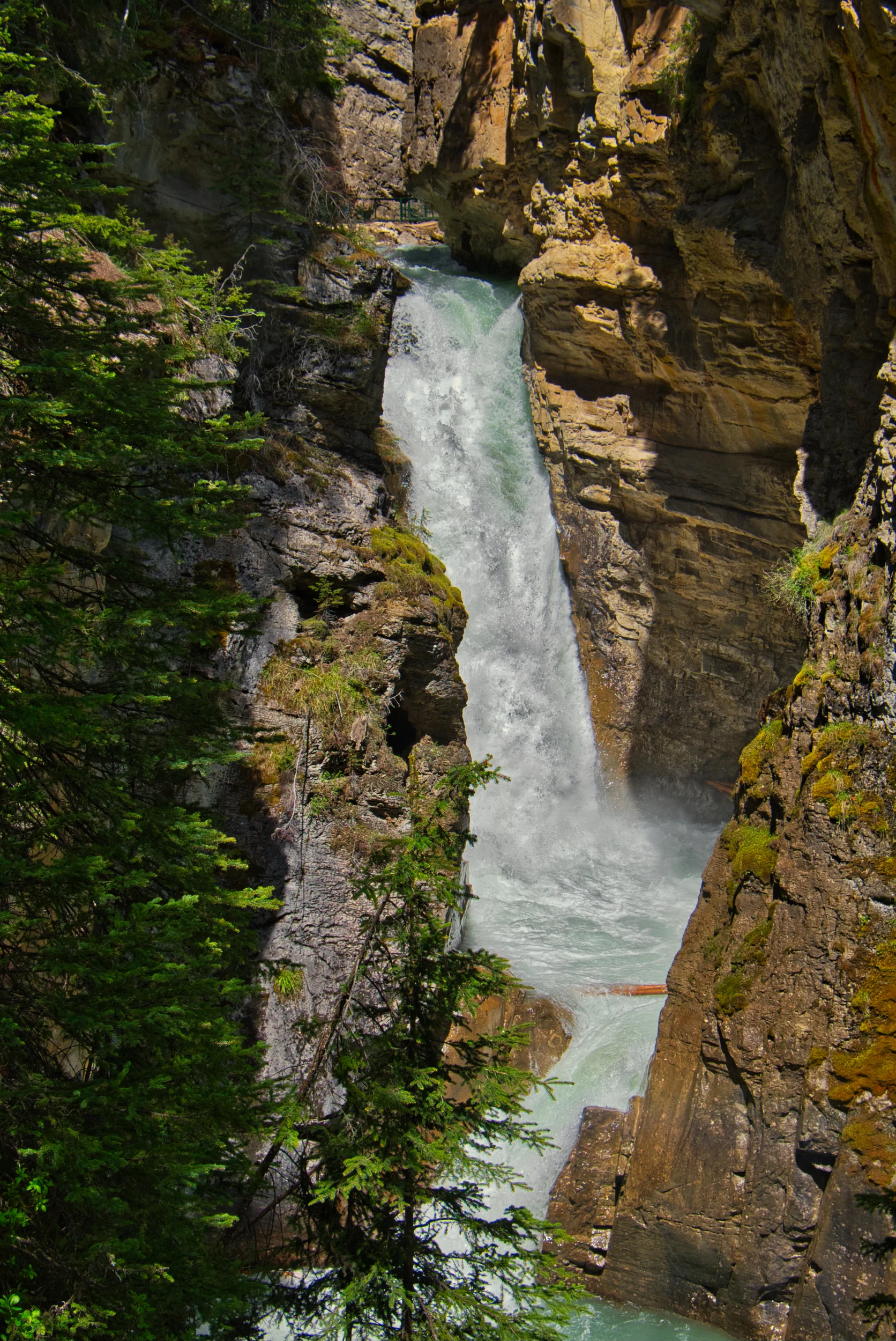 Lower Falls @ Johnston Canyon