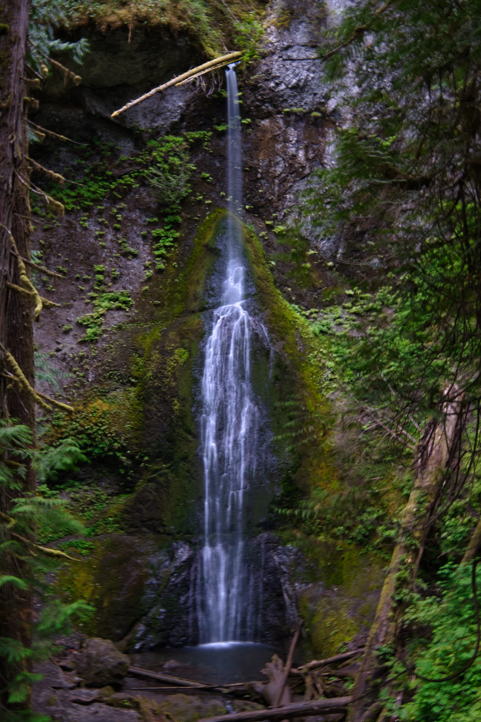 Marymere falls is a 90 foot graceful display.