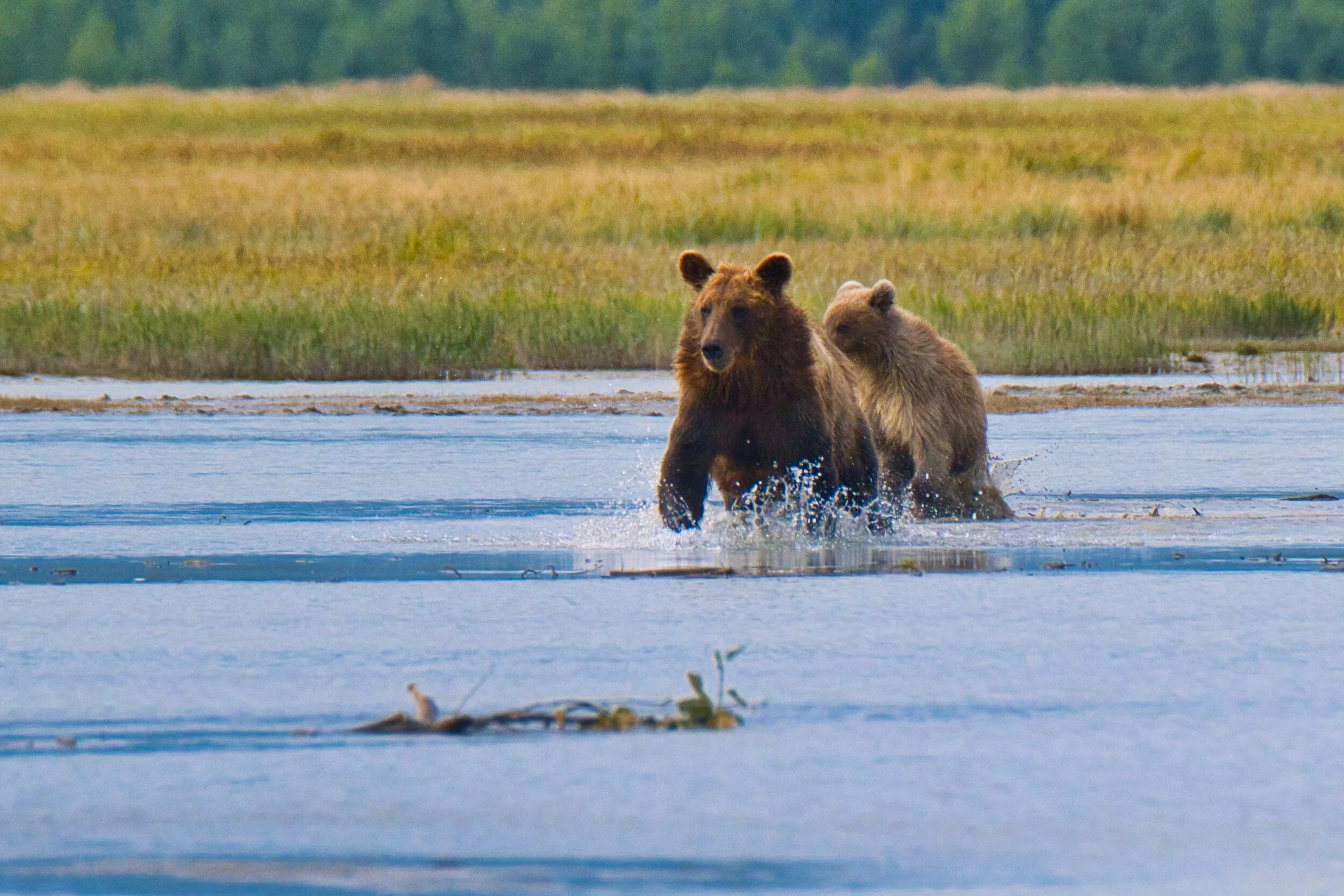 Lake Clark National Park