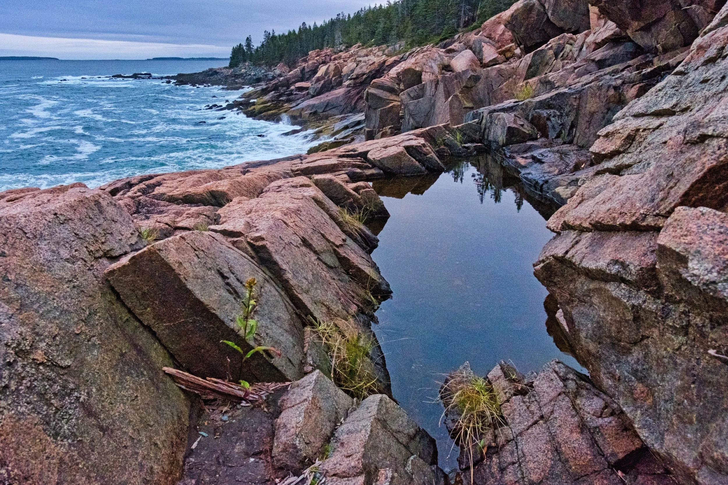 tide Pools after the storm.jpg