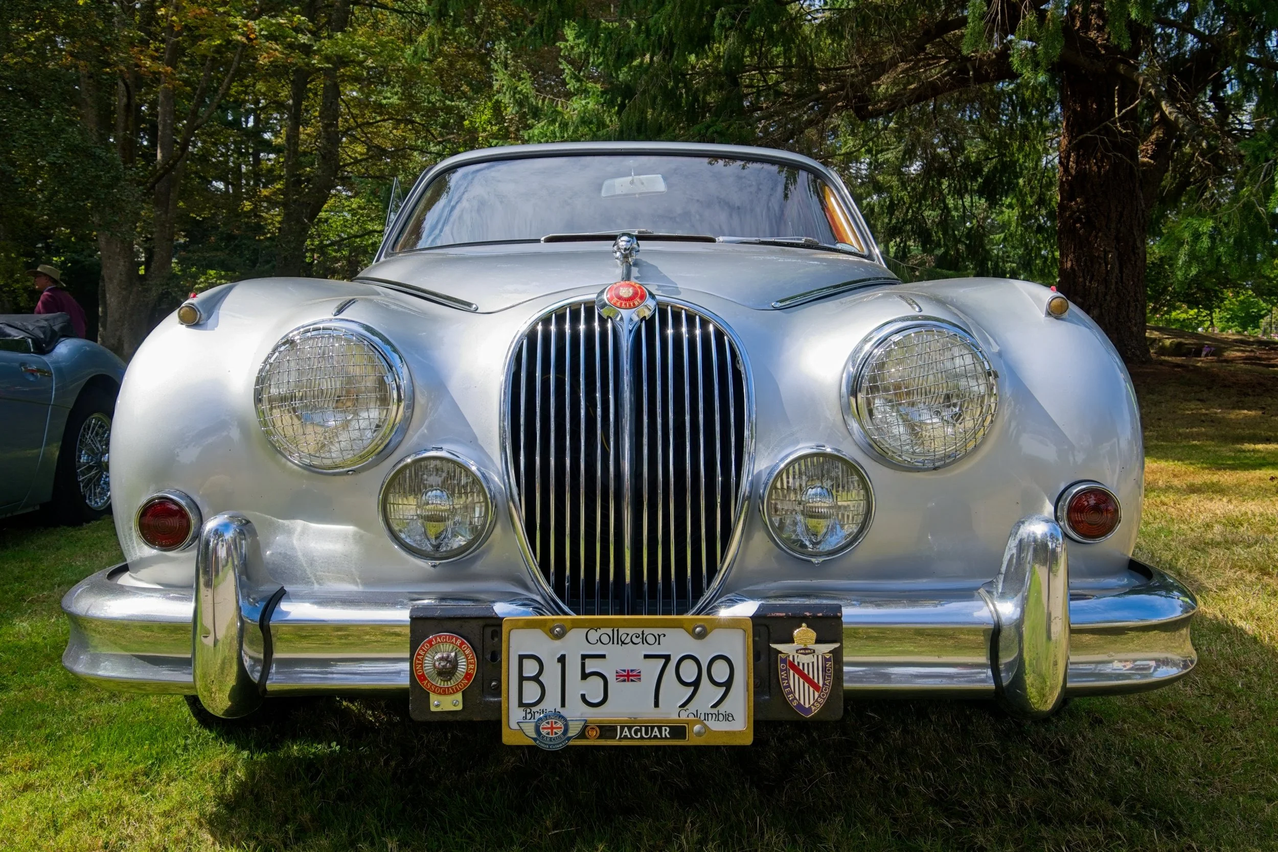 Jag xk 140.jpg