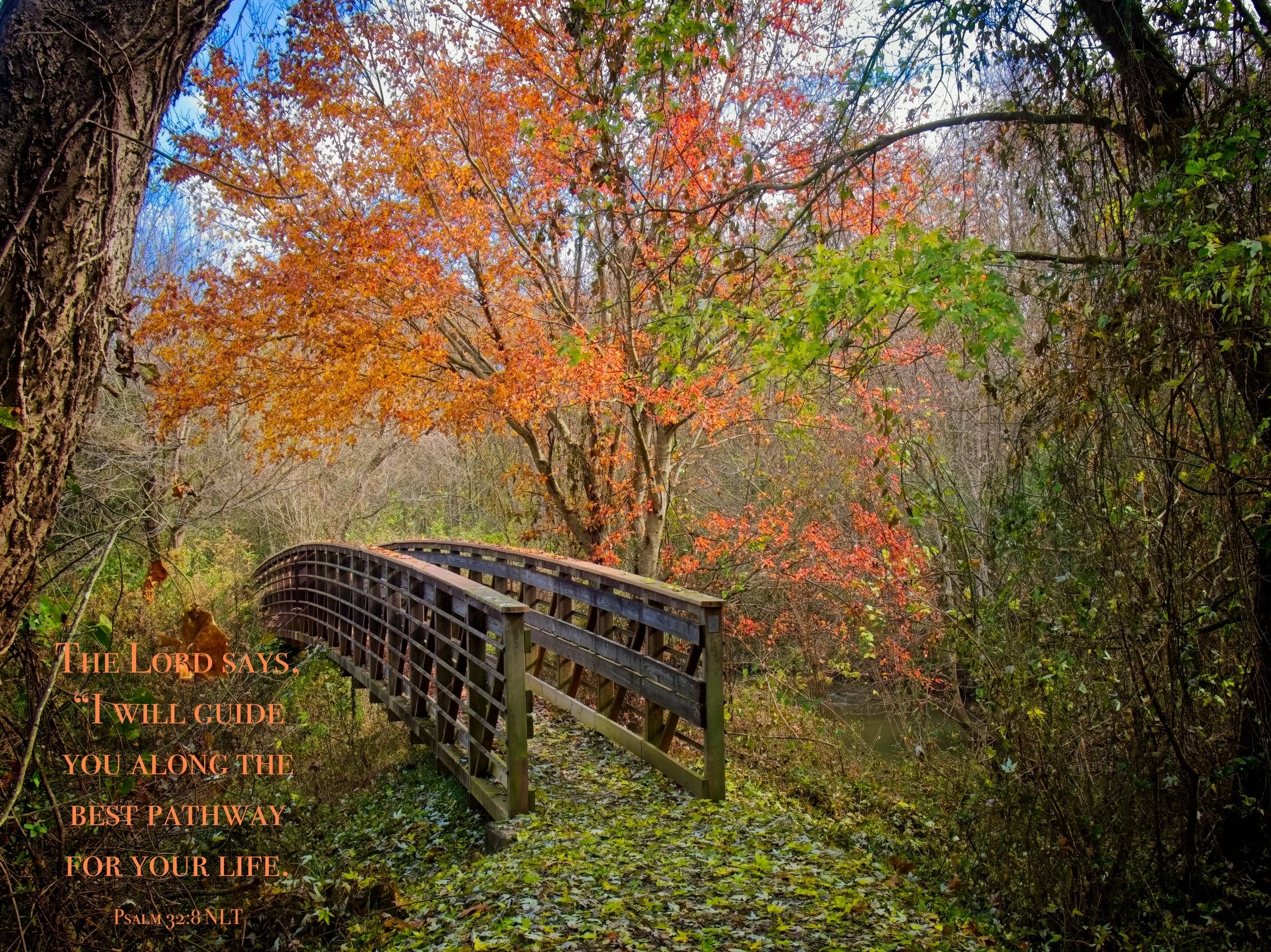 welcome bridge.jpg