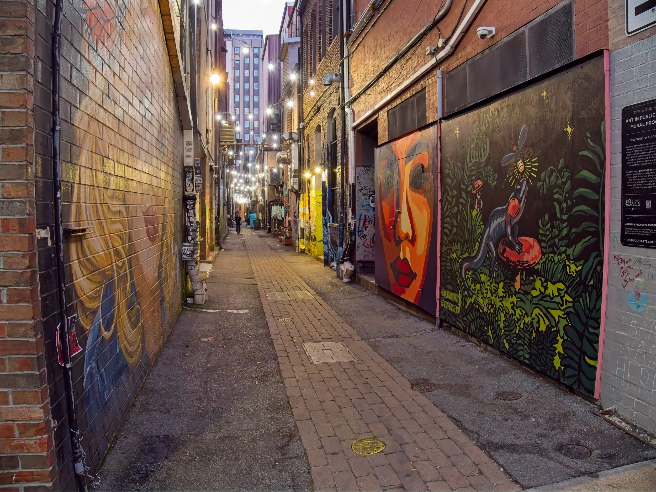 OM! Alley.jpg