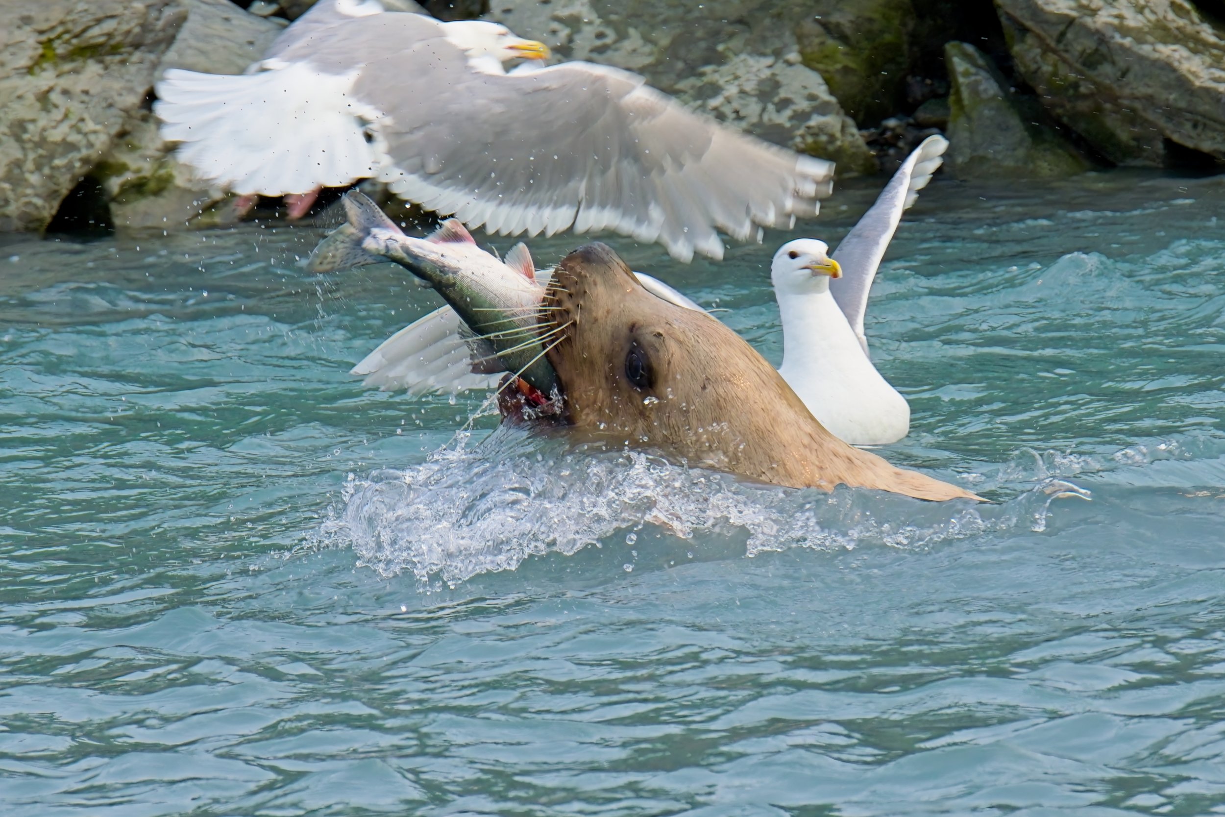 Seal the deal.jpg