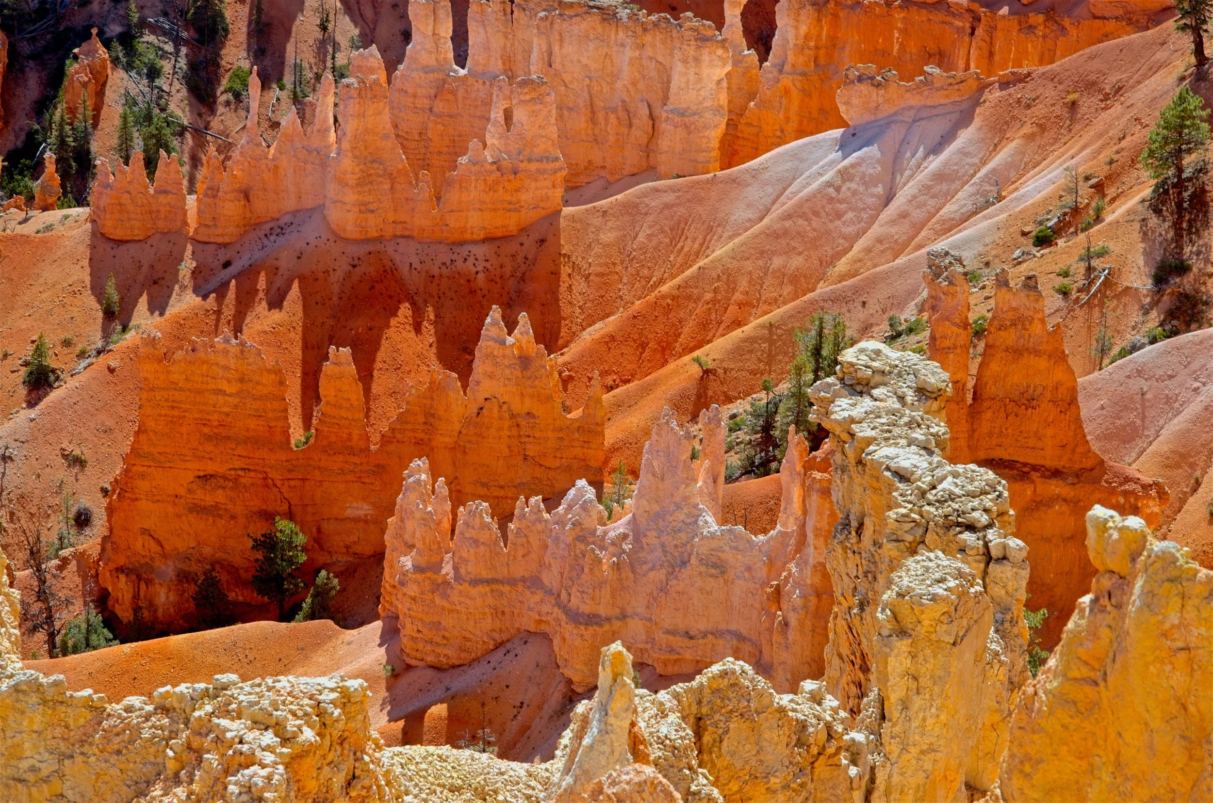 Bryce with dusting of snow.jpg