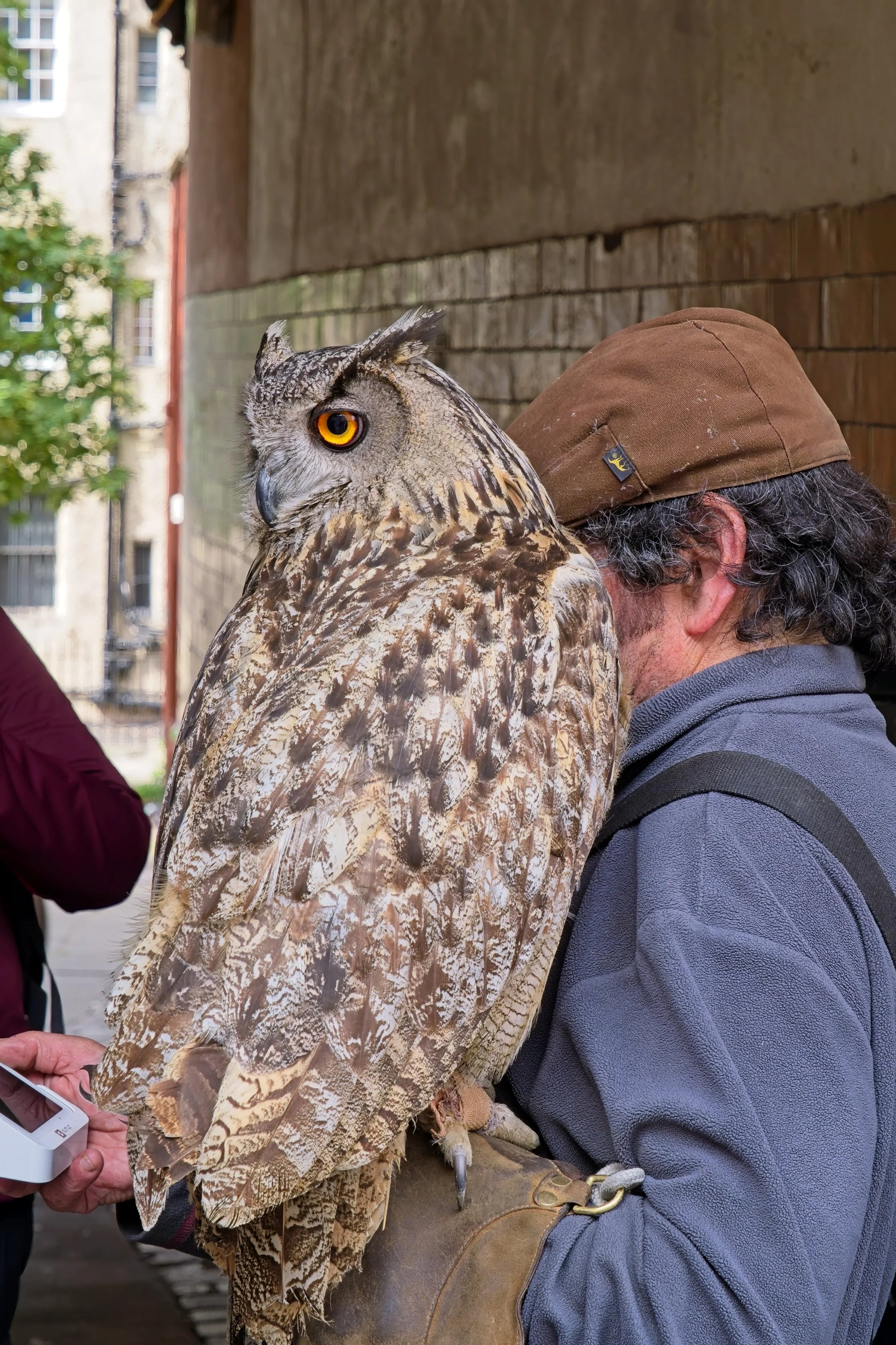 edinburgh second door 1.jpg