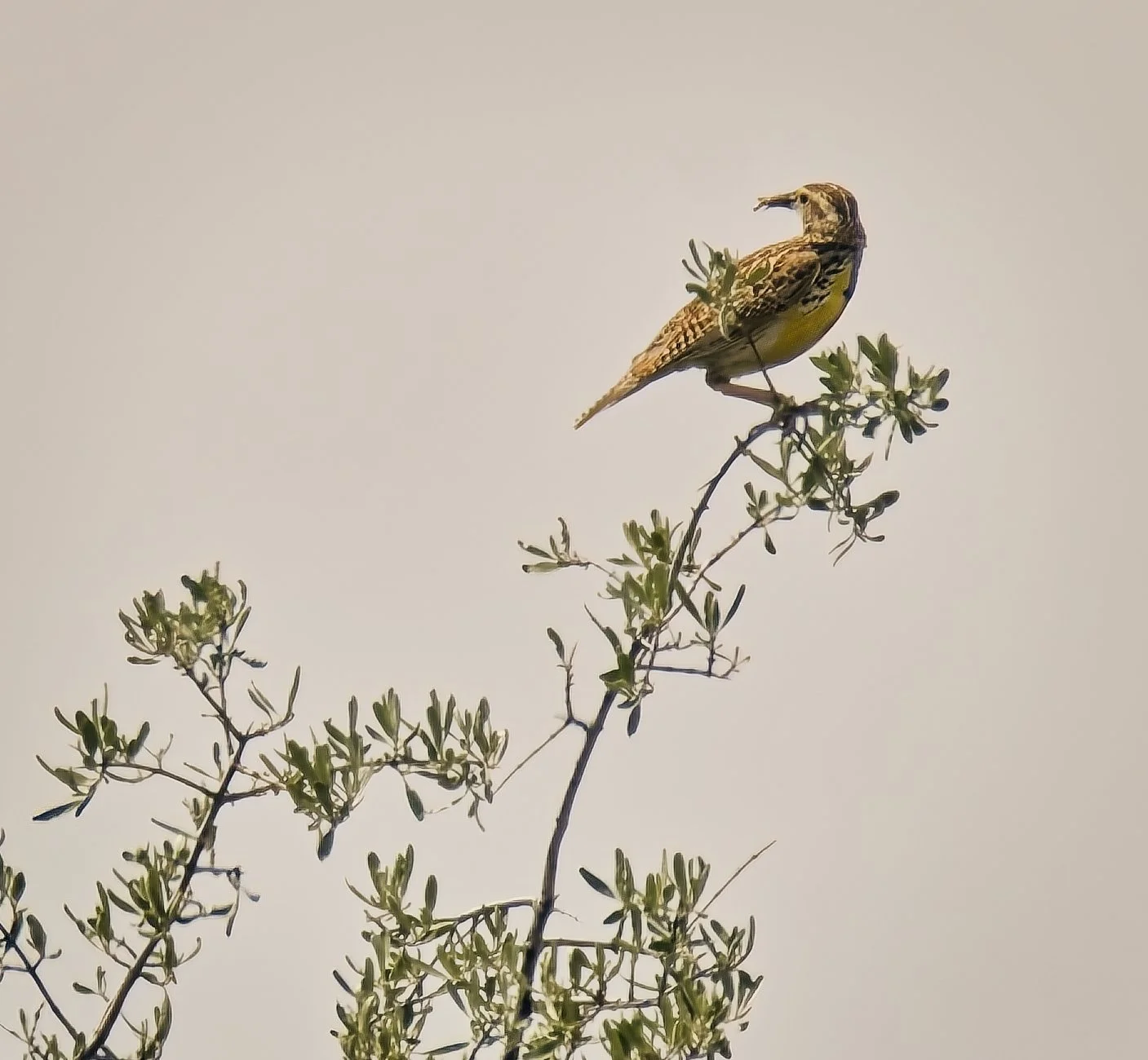 TRNP North Unit 3.jpg