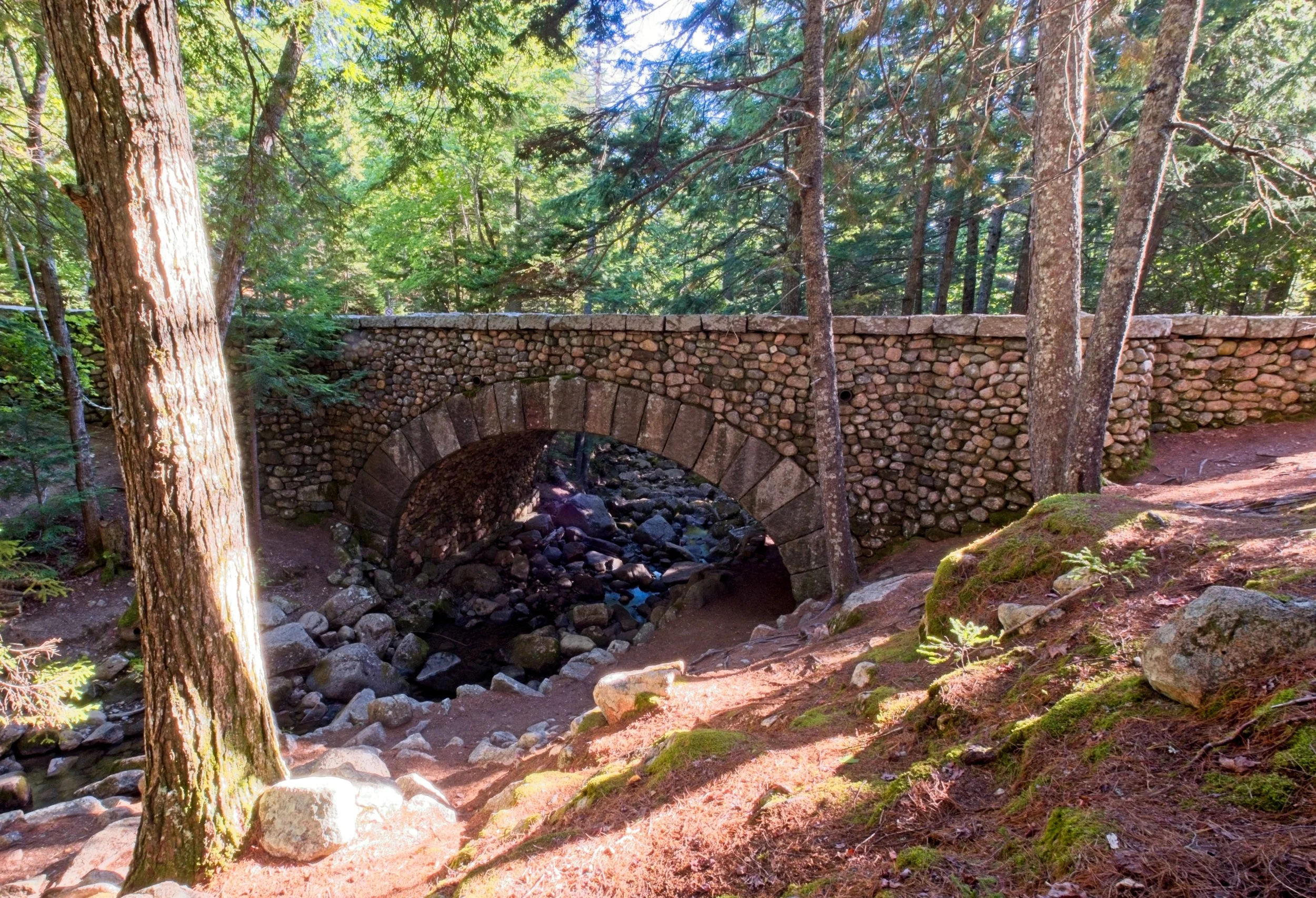 acadia post 1.jpg
