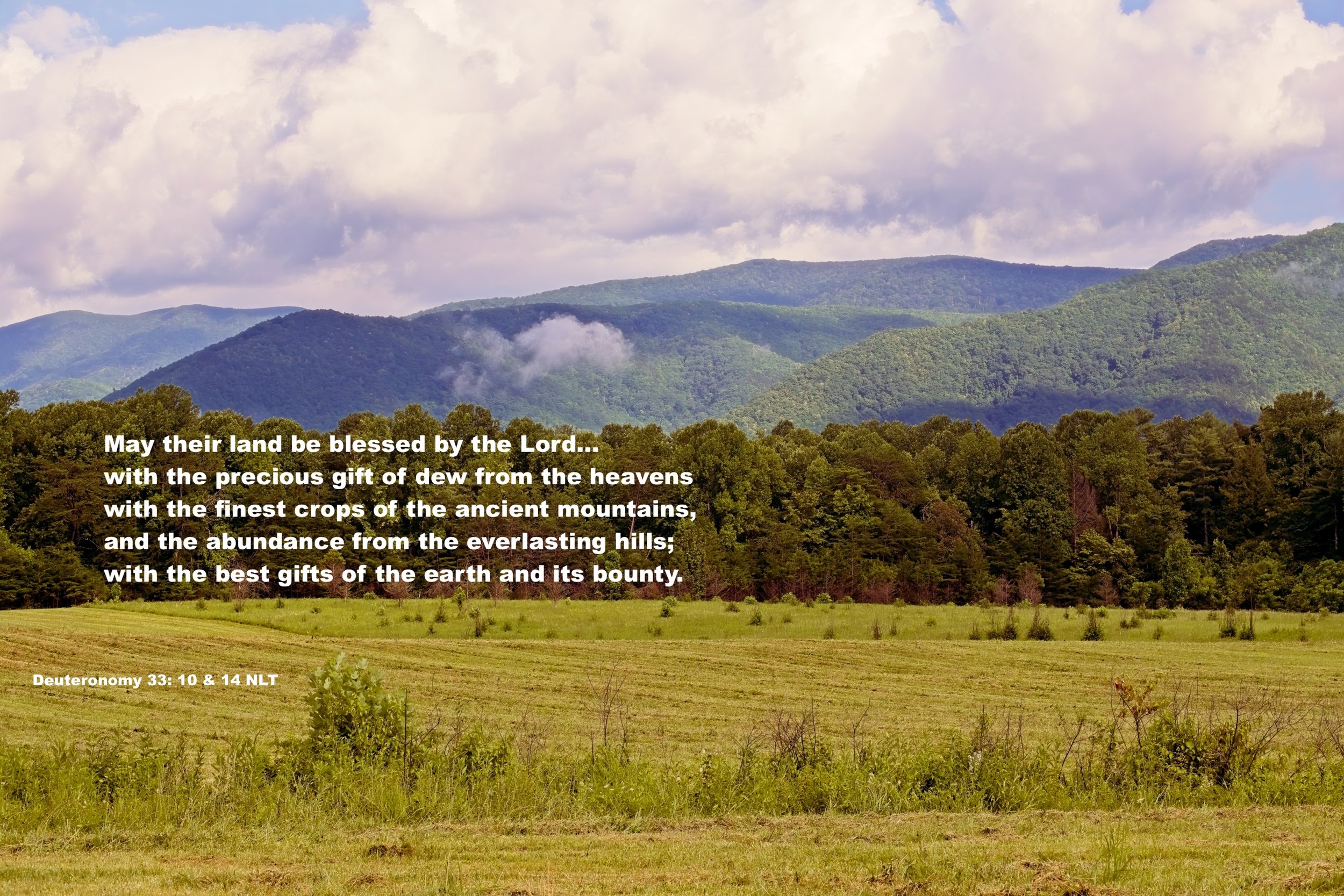 Smokies.jpg