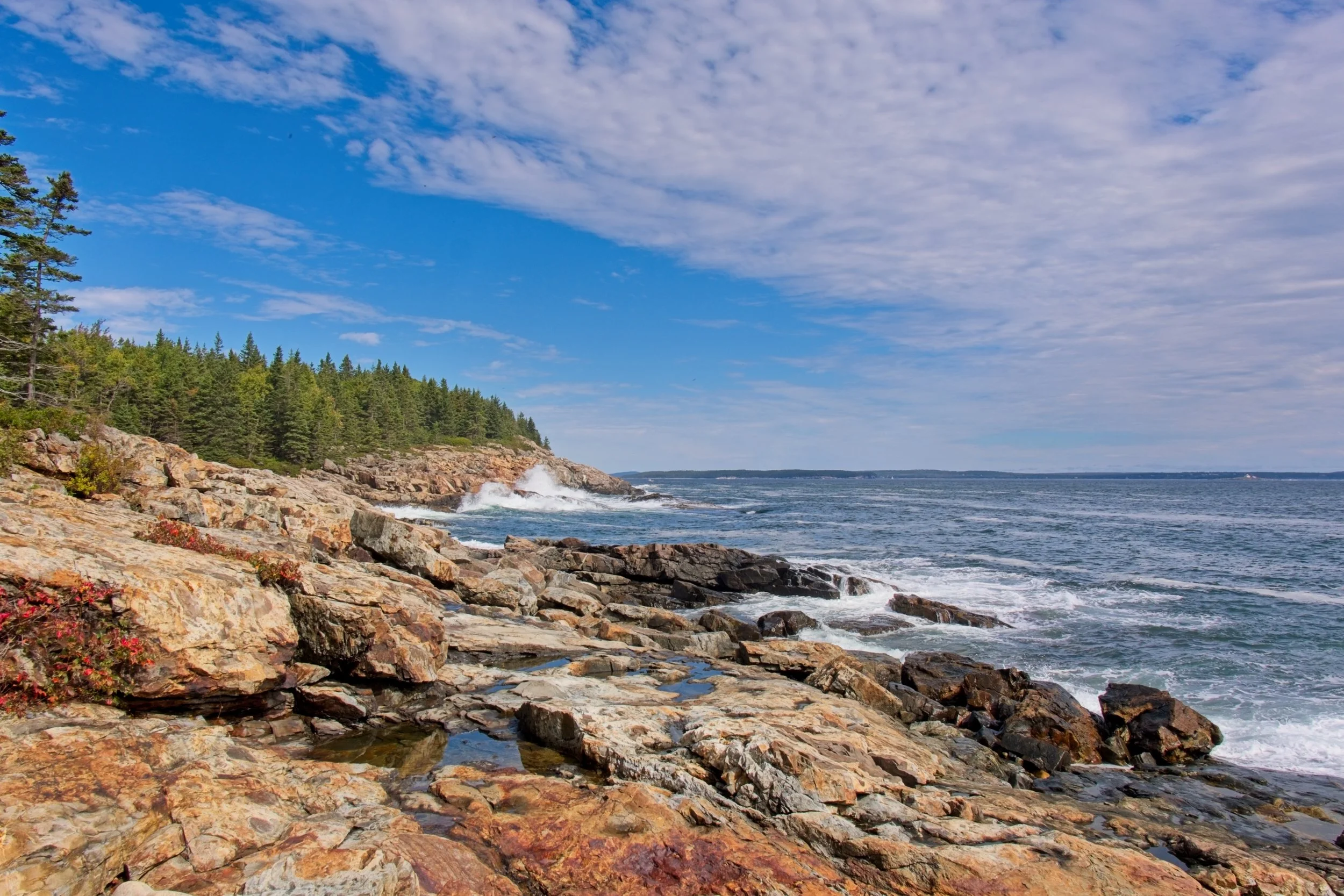 acadia post 11.jpg