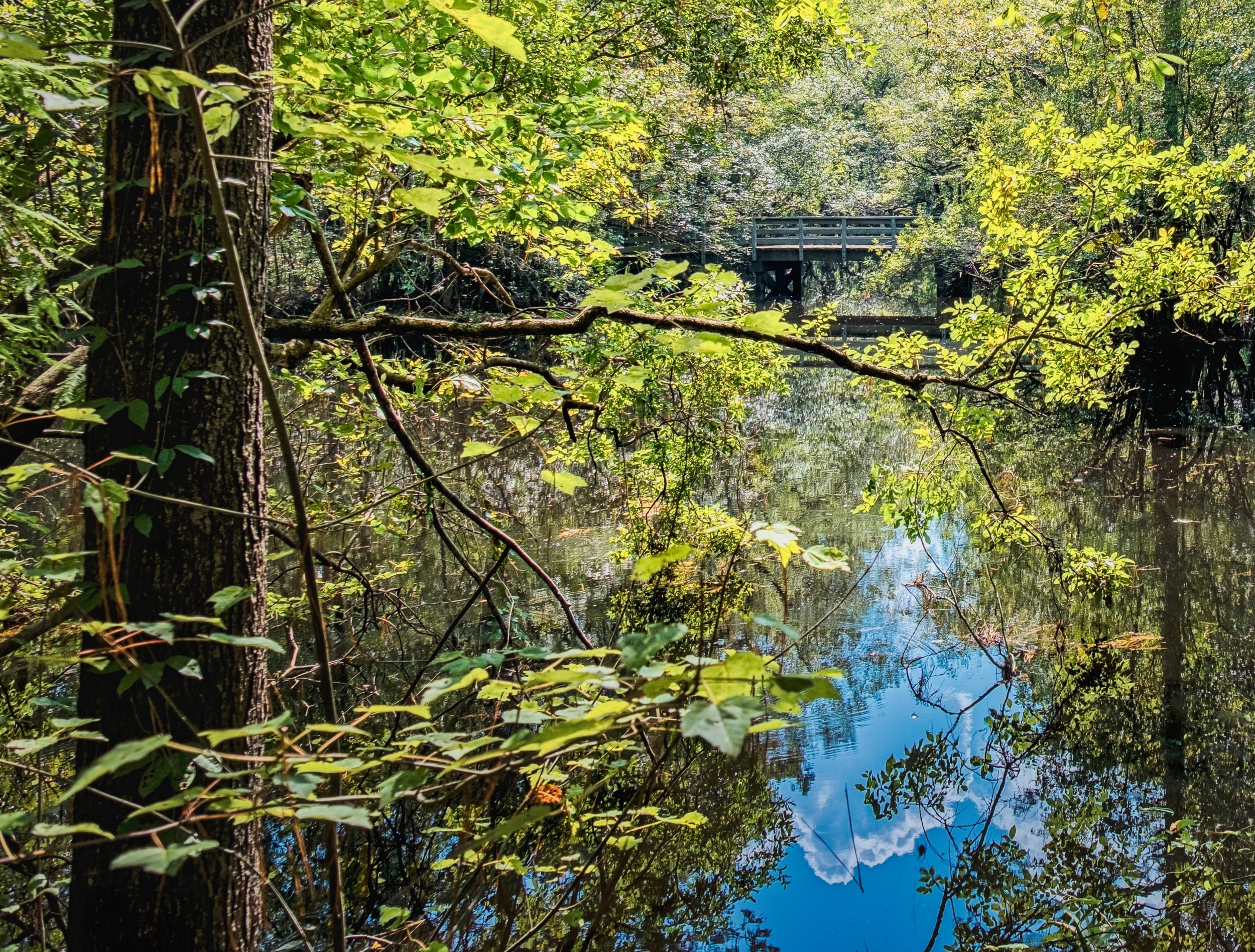 NC REV war site bridge.jpg