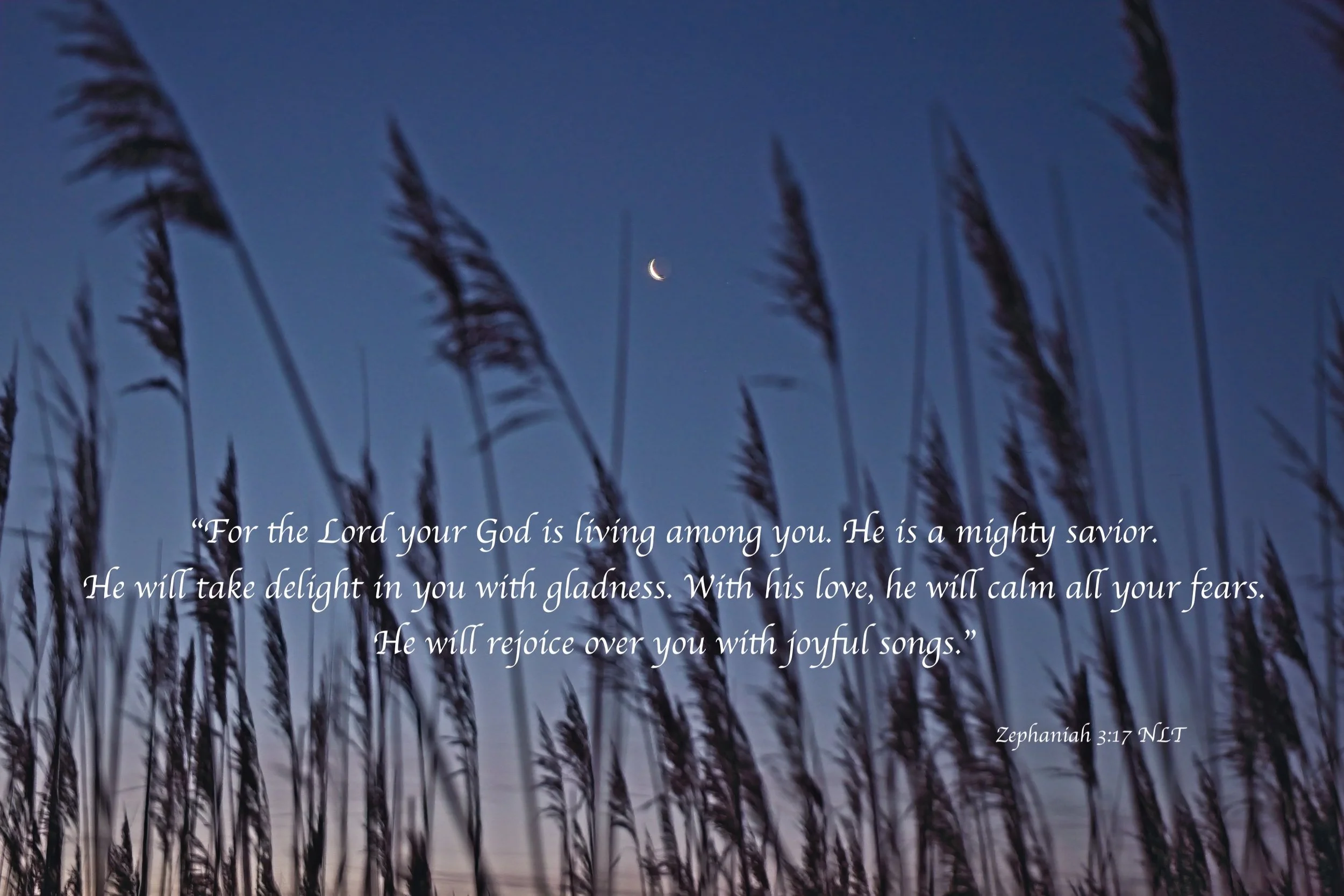 Sunday Scripture 1.jpg