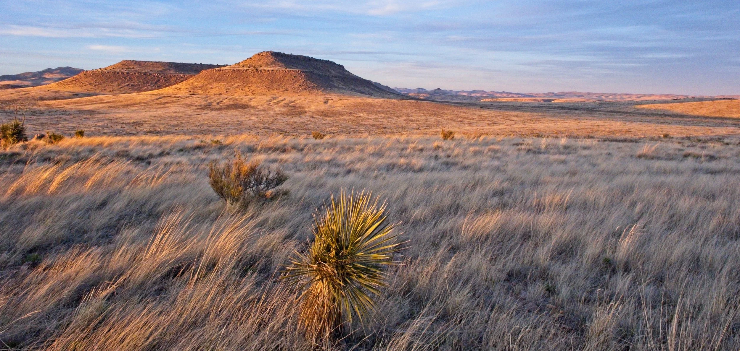 West Texas.jpg