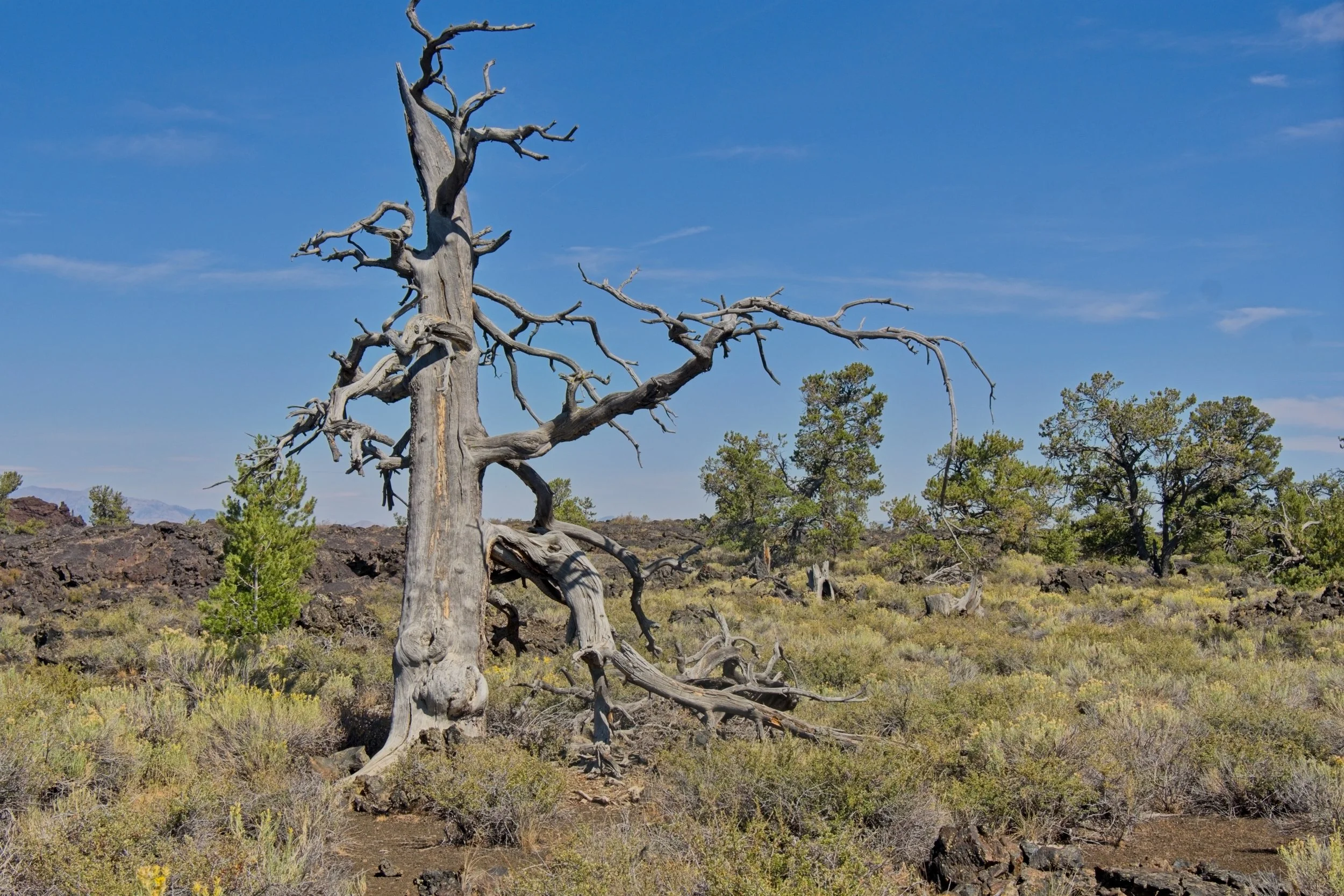 Craters of the Moon 7.jpg